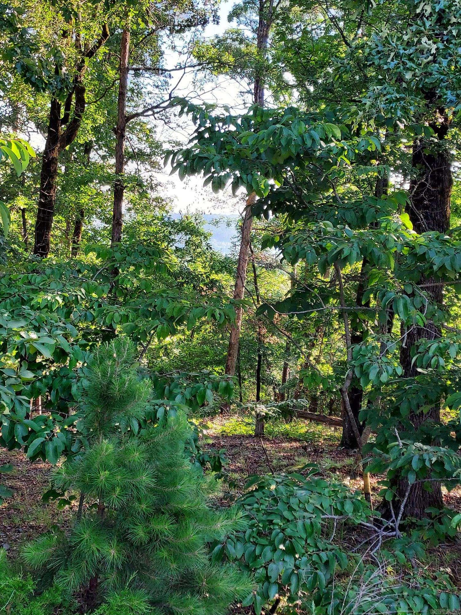 37 Pertusa Drive  Hot Springs Village, AR