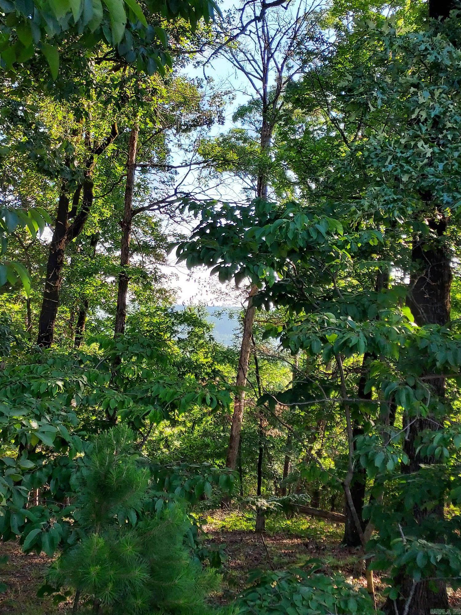 37 Pertusa Drive  Hot Springs Village, AR