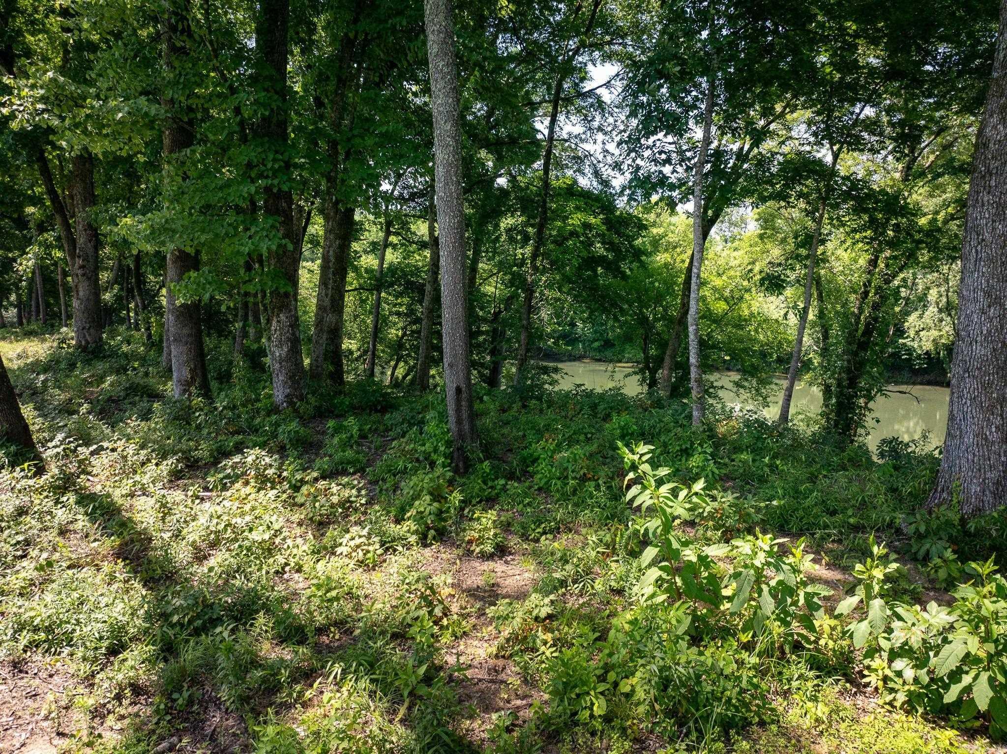 TBD Old River  Pangburn, AR
