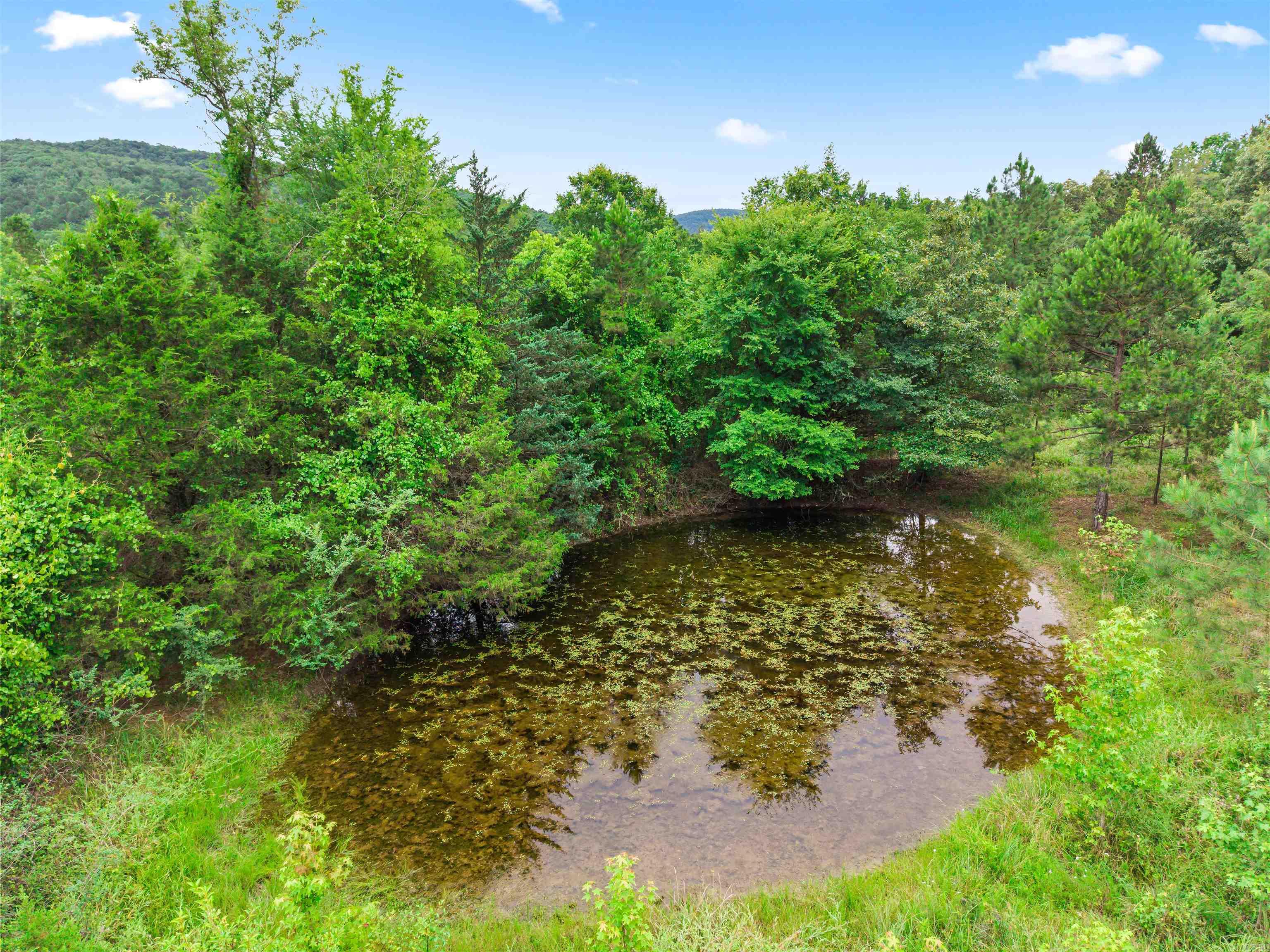 977 Wildcat  Hot Springs, AR