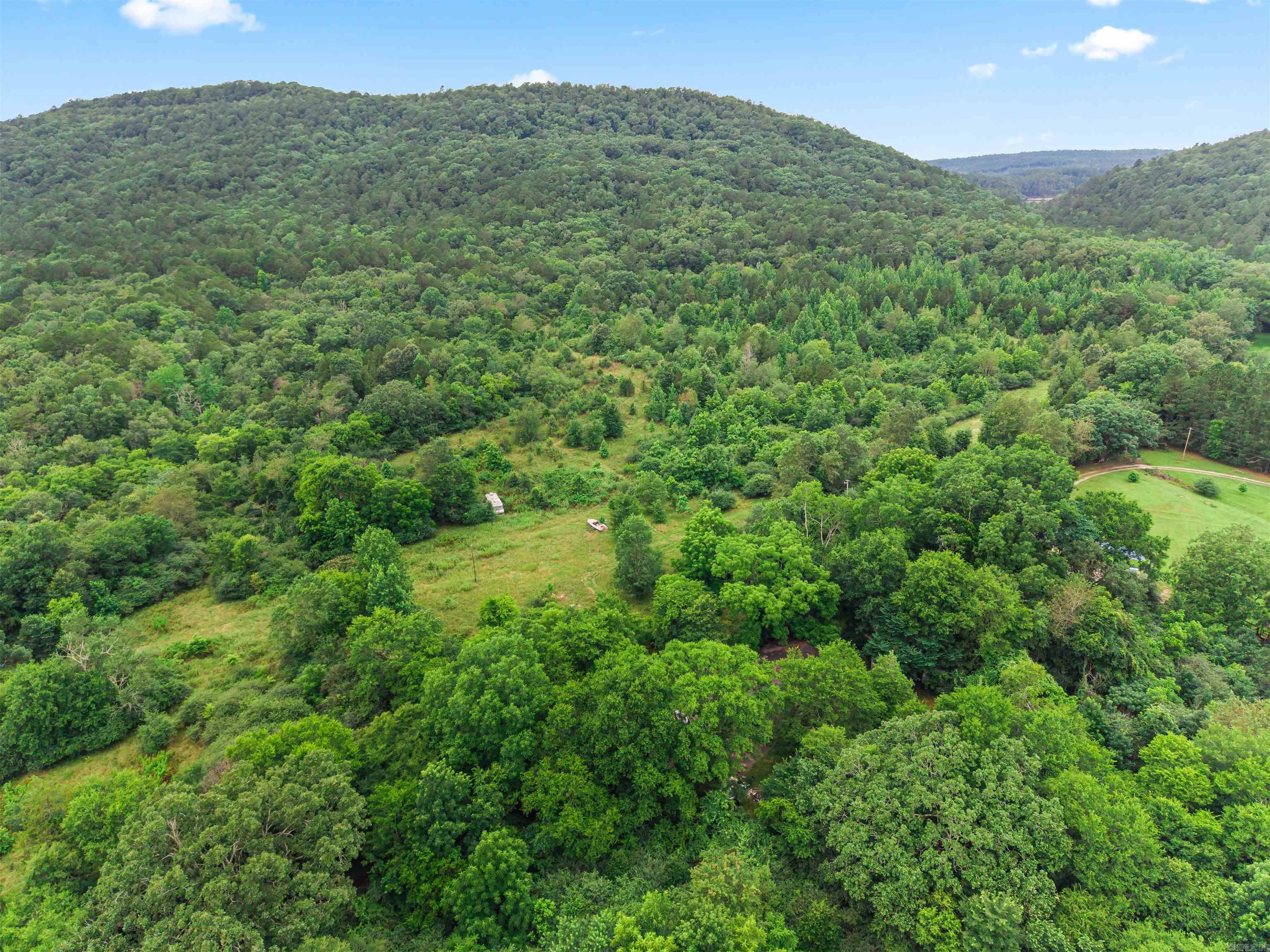 977 Wildcat  Hot Springs, AR