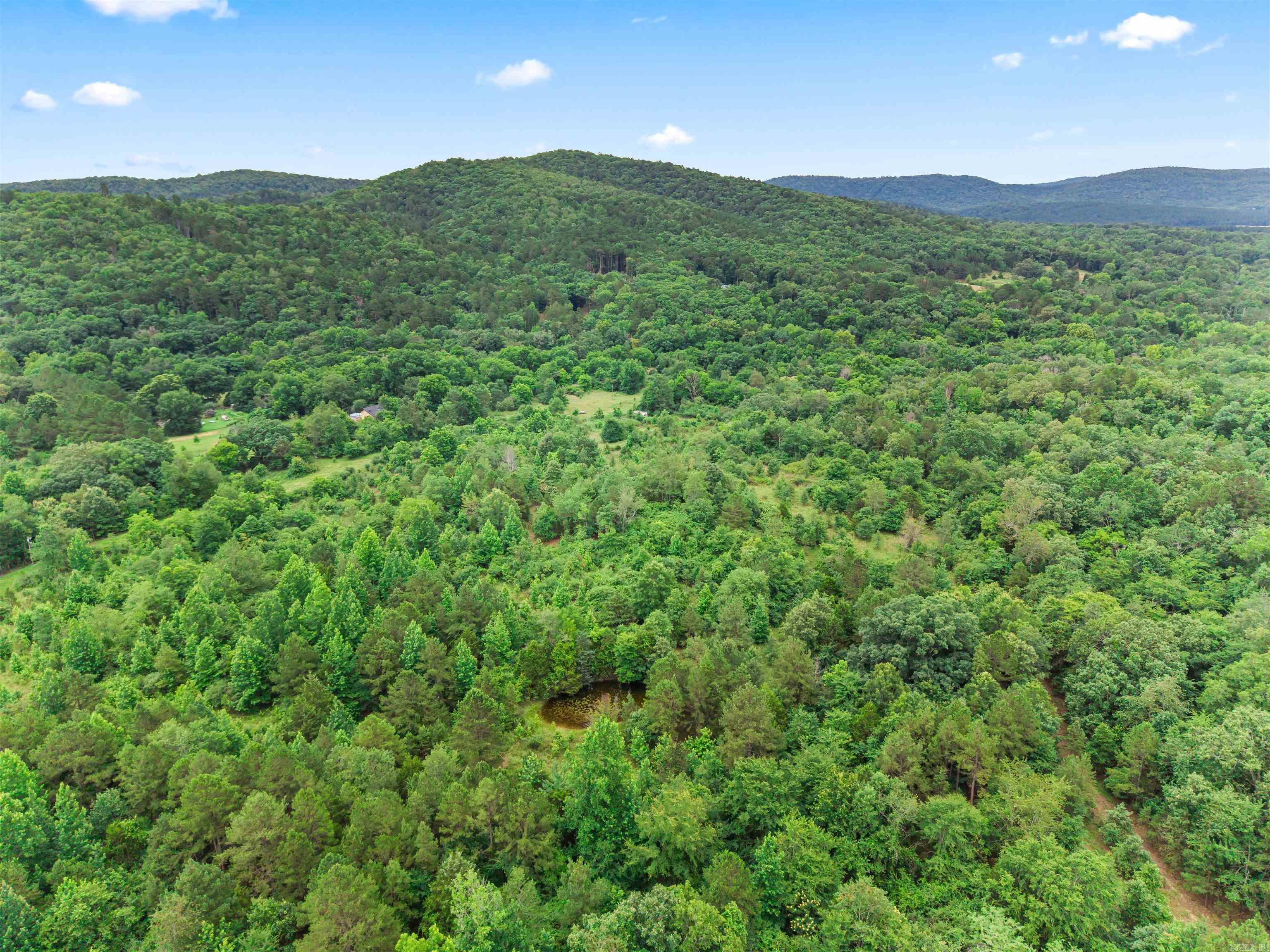 977 Wildcat  Hot Springs, AR