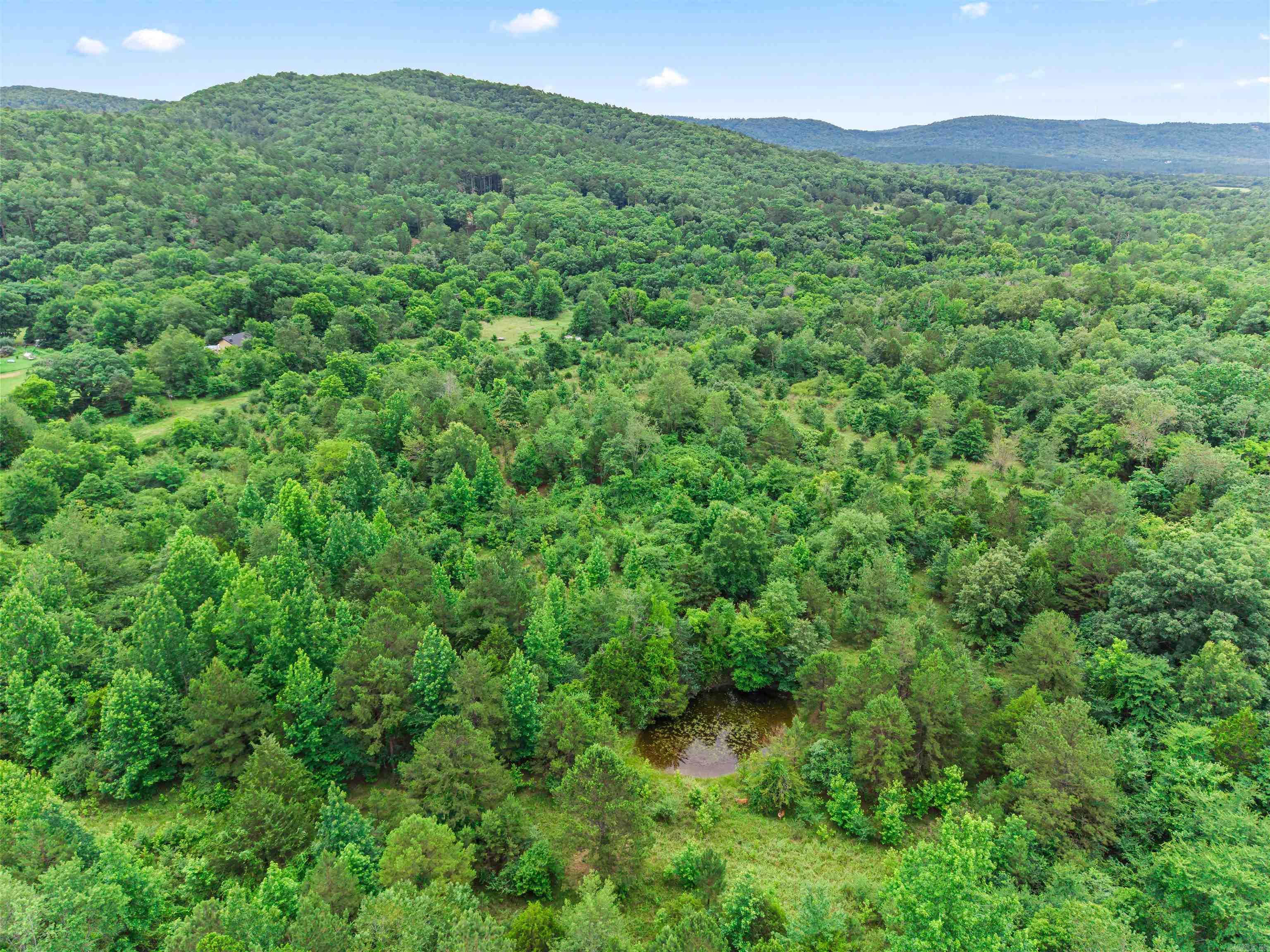 977 Wildcat  Hot Springs, AR