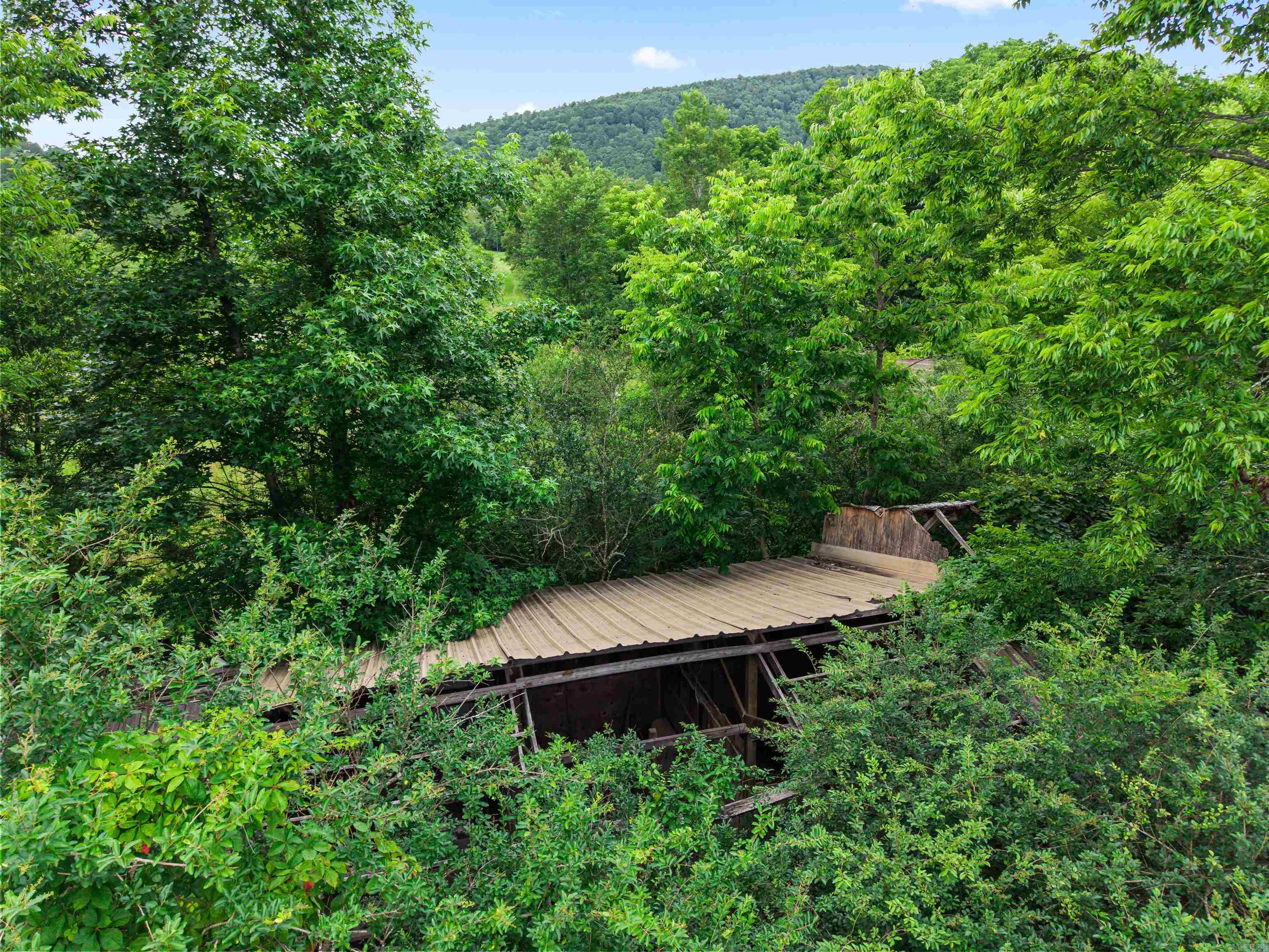 977 Wildcat  Hot Springs, AR