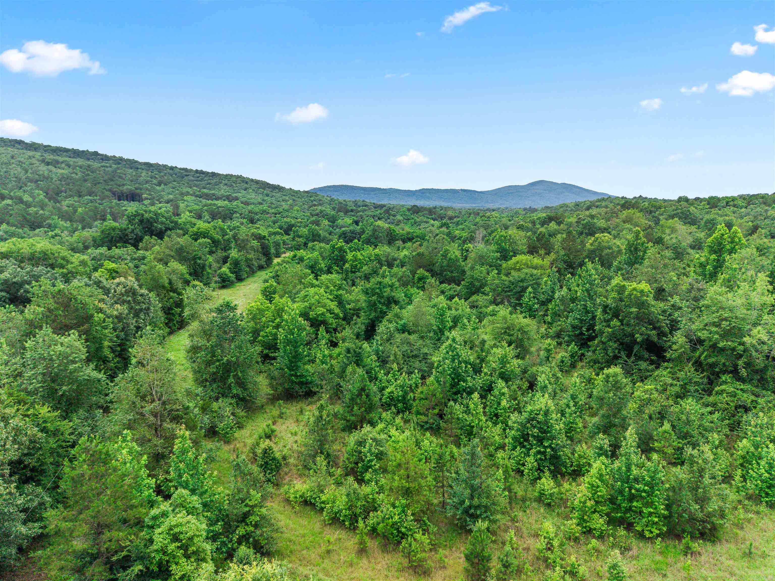 977 Wildcat  Hot Springs, AR