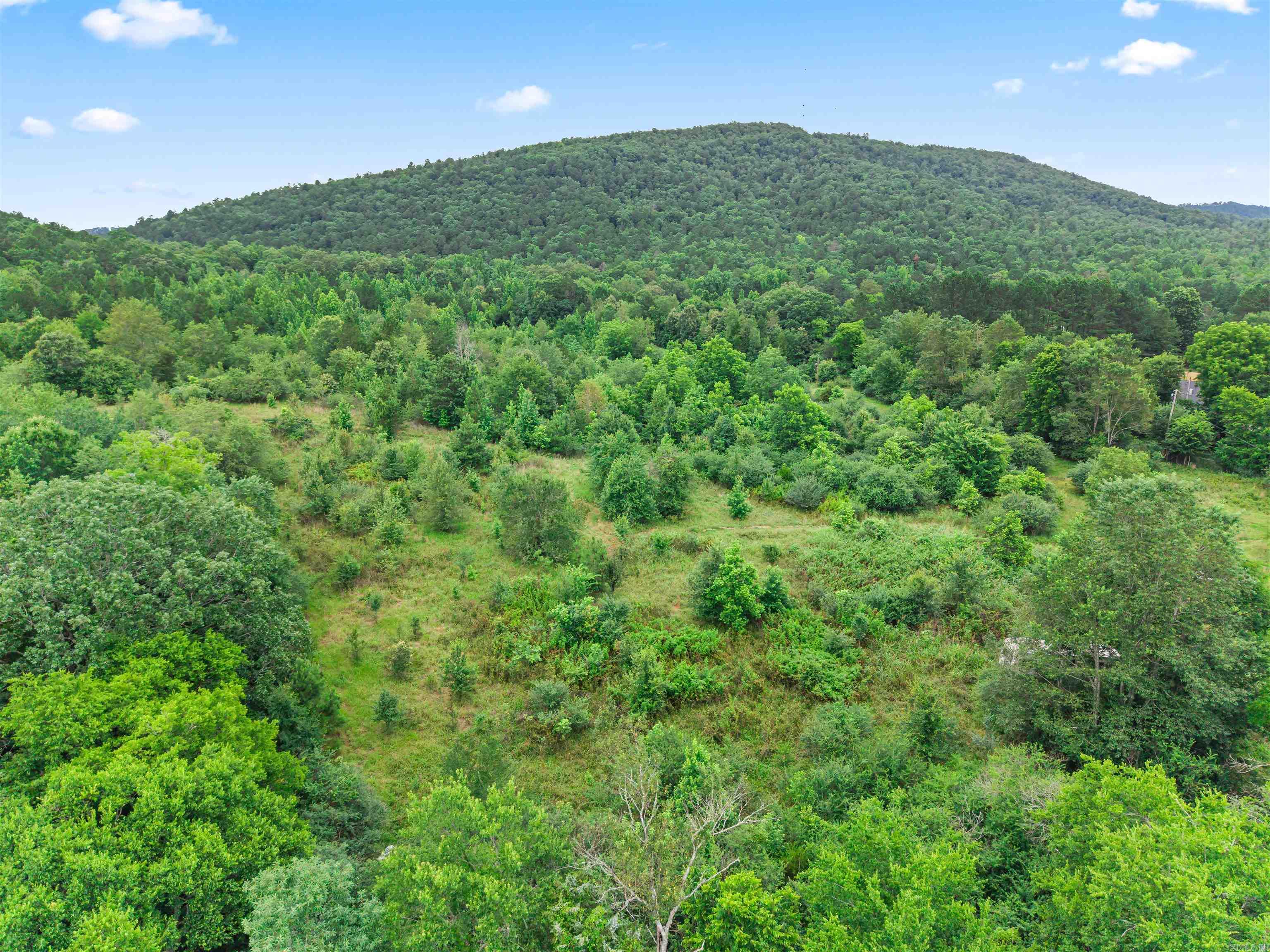 977 Wildcat  Hot Springs, AR