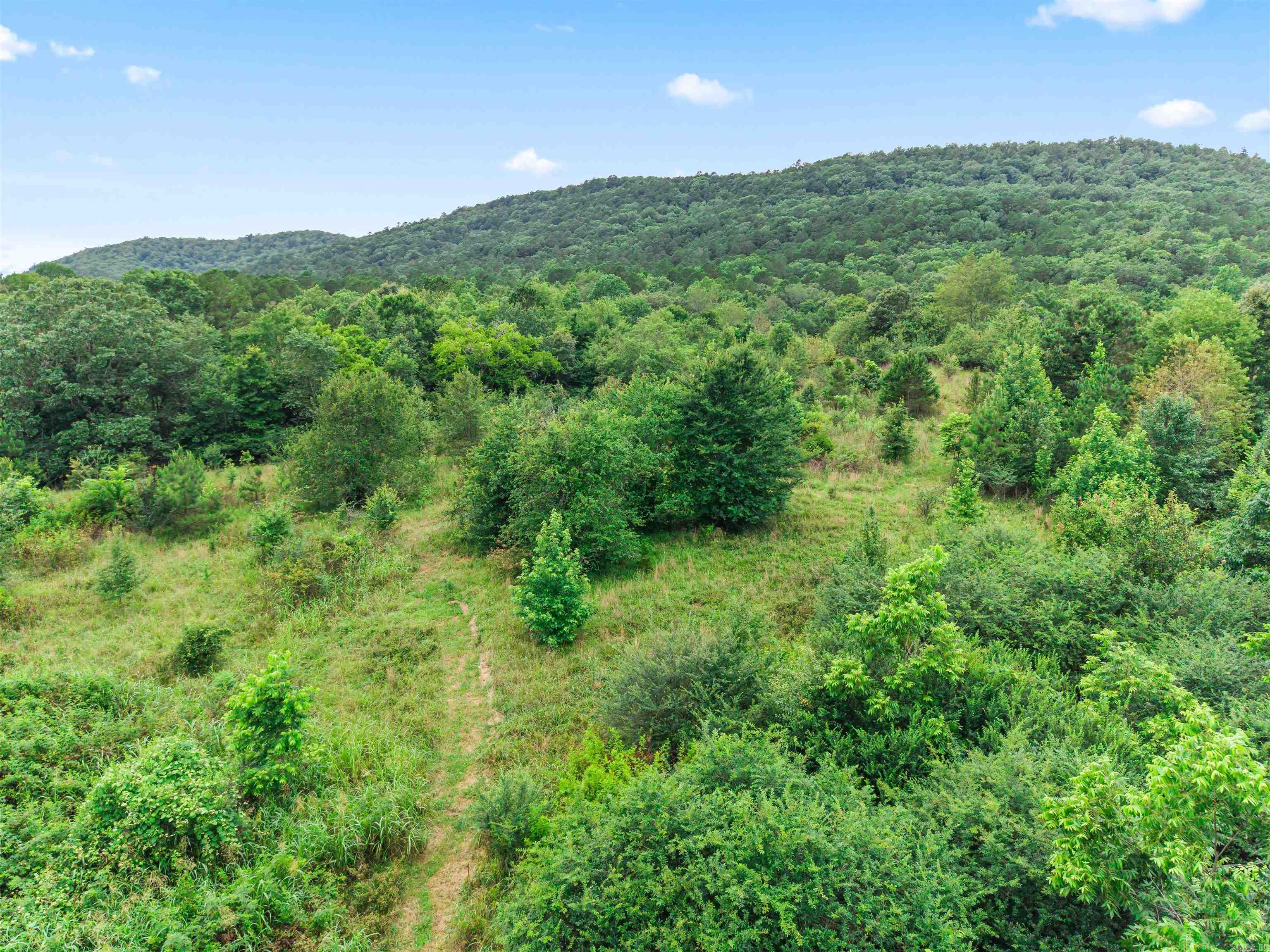 977 Wildcat  Hot Springs, AR