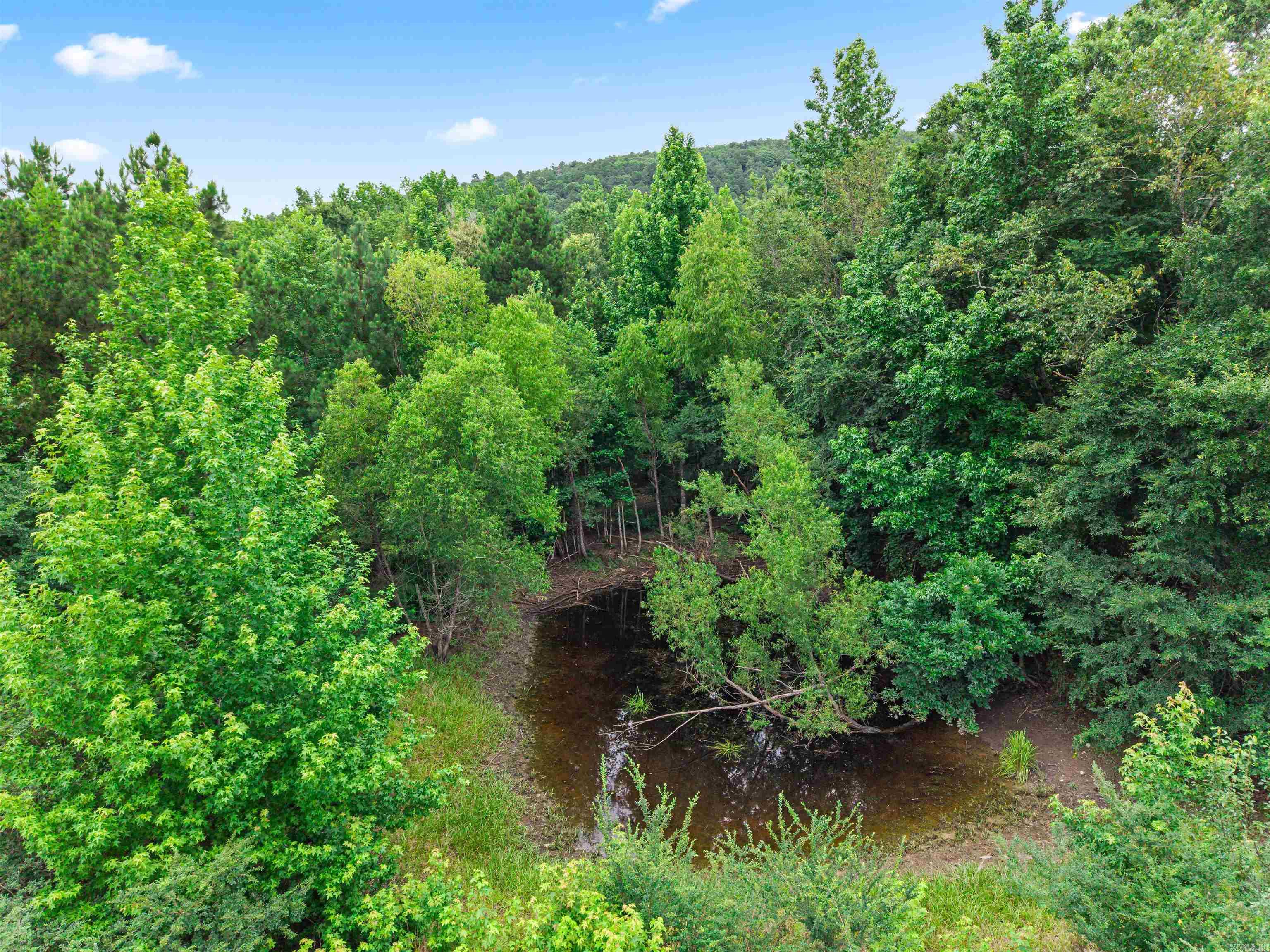 977 Wildcat  Hot Springs, AR