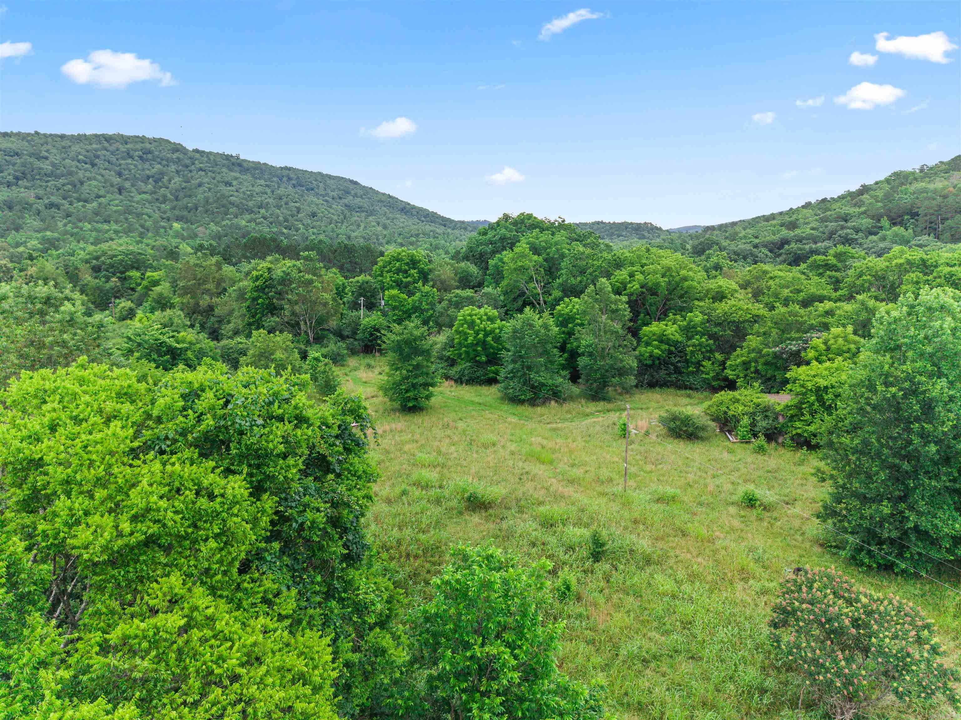 977 Wildcat  Hot Springs, AR