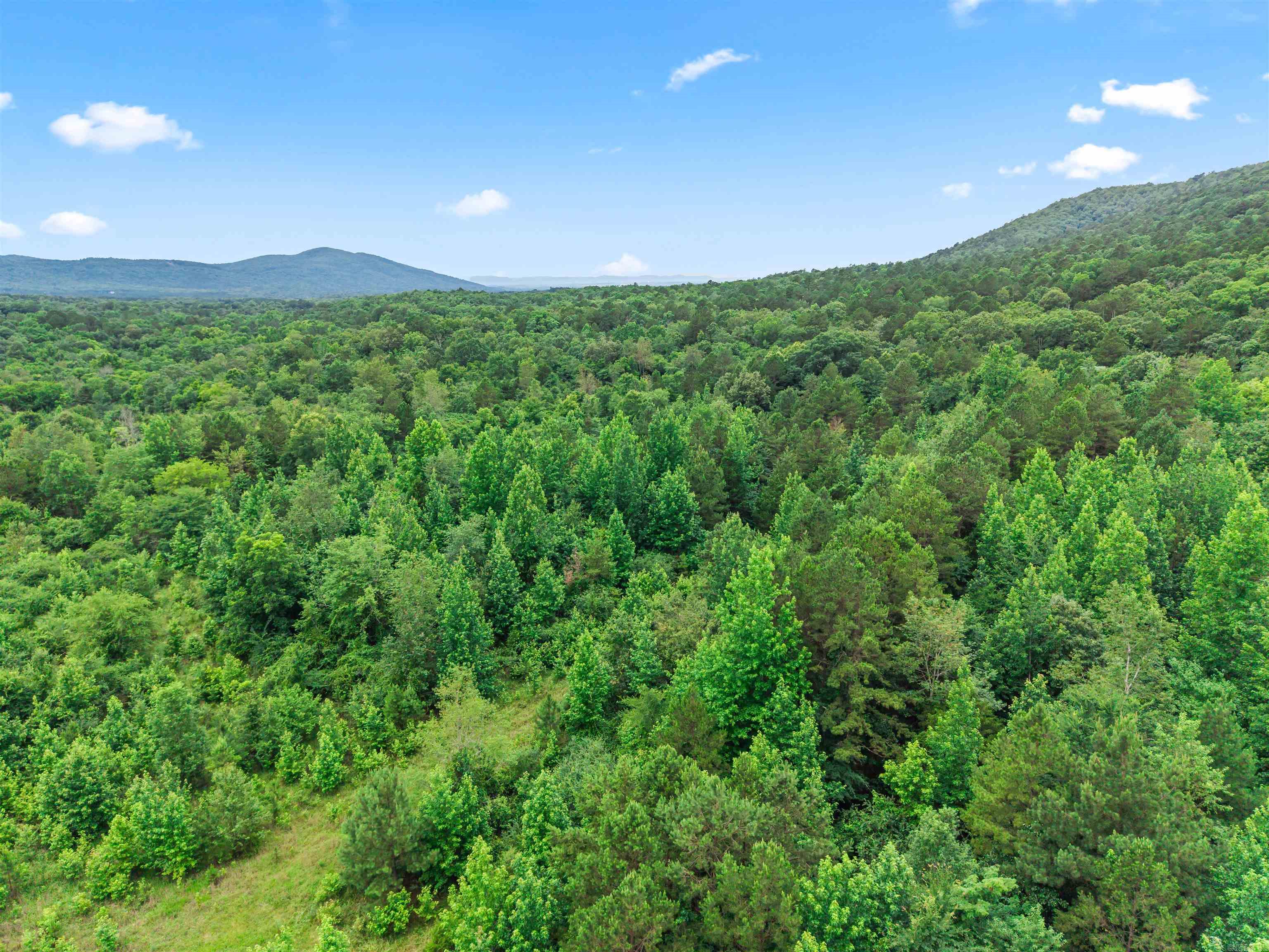 977 Wildcat  Hot Springs, AR