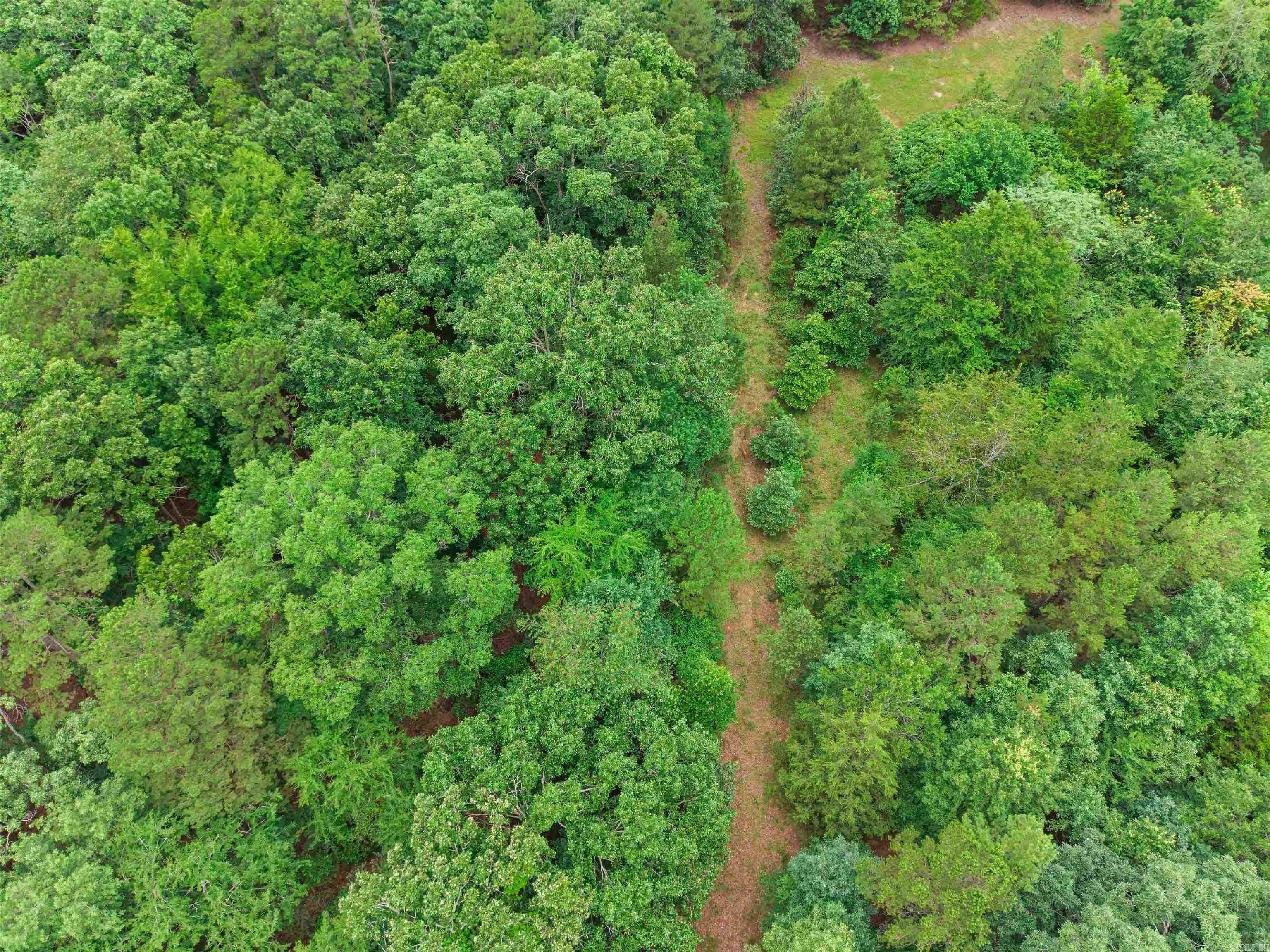 977 Wildcat  Hot Springs, AR