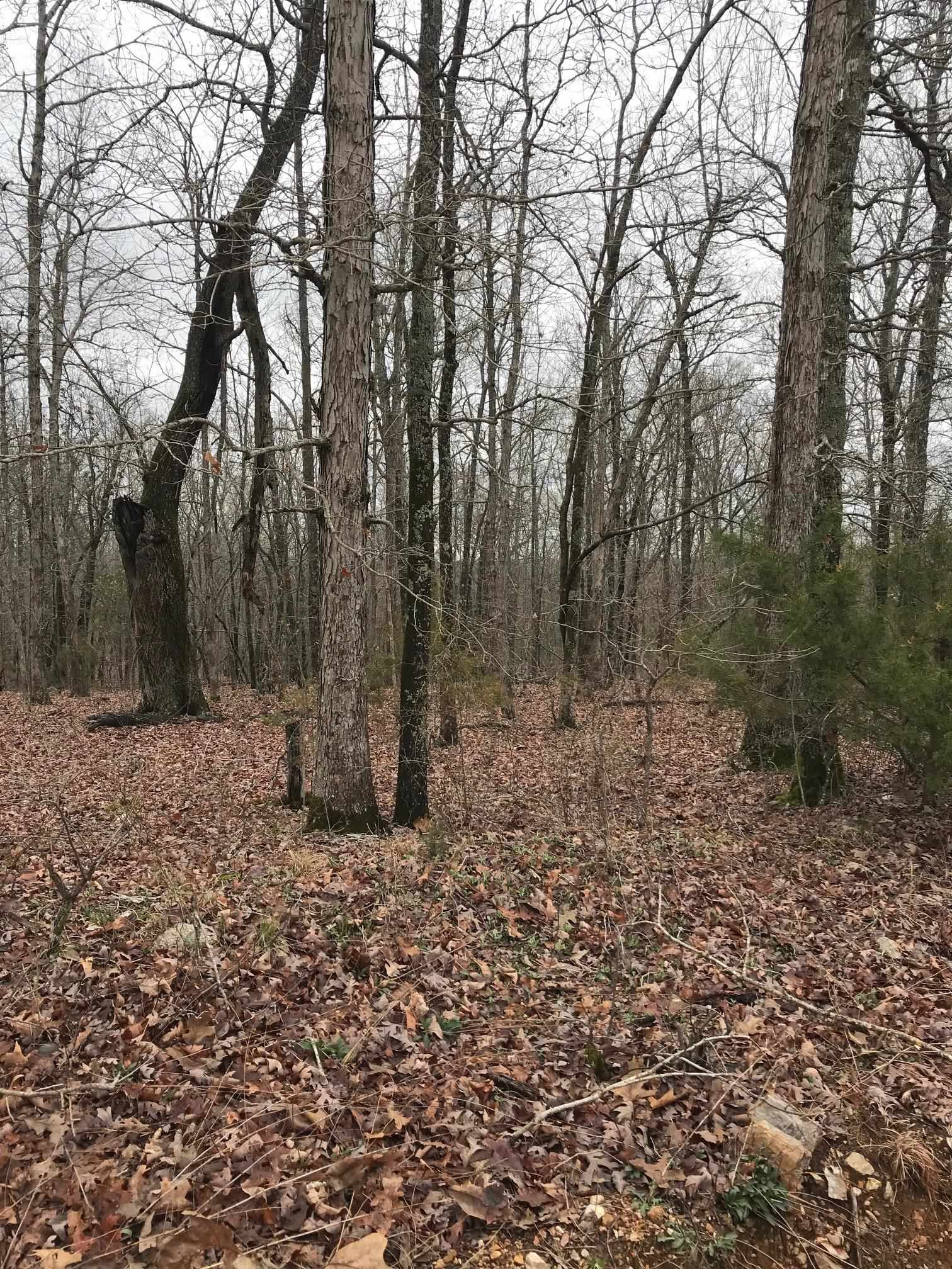 TBD Red Fox Road  Hardy, AR