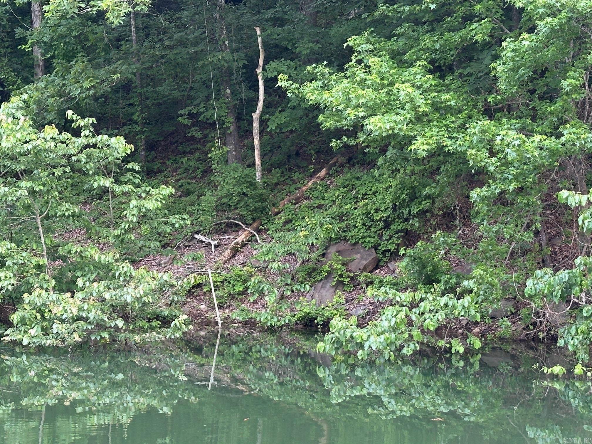 133 Meadow Cliff Circle  Fairfield Bay, AR