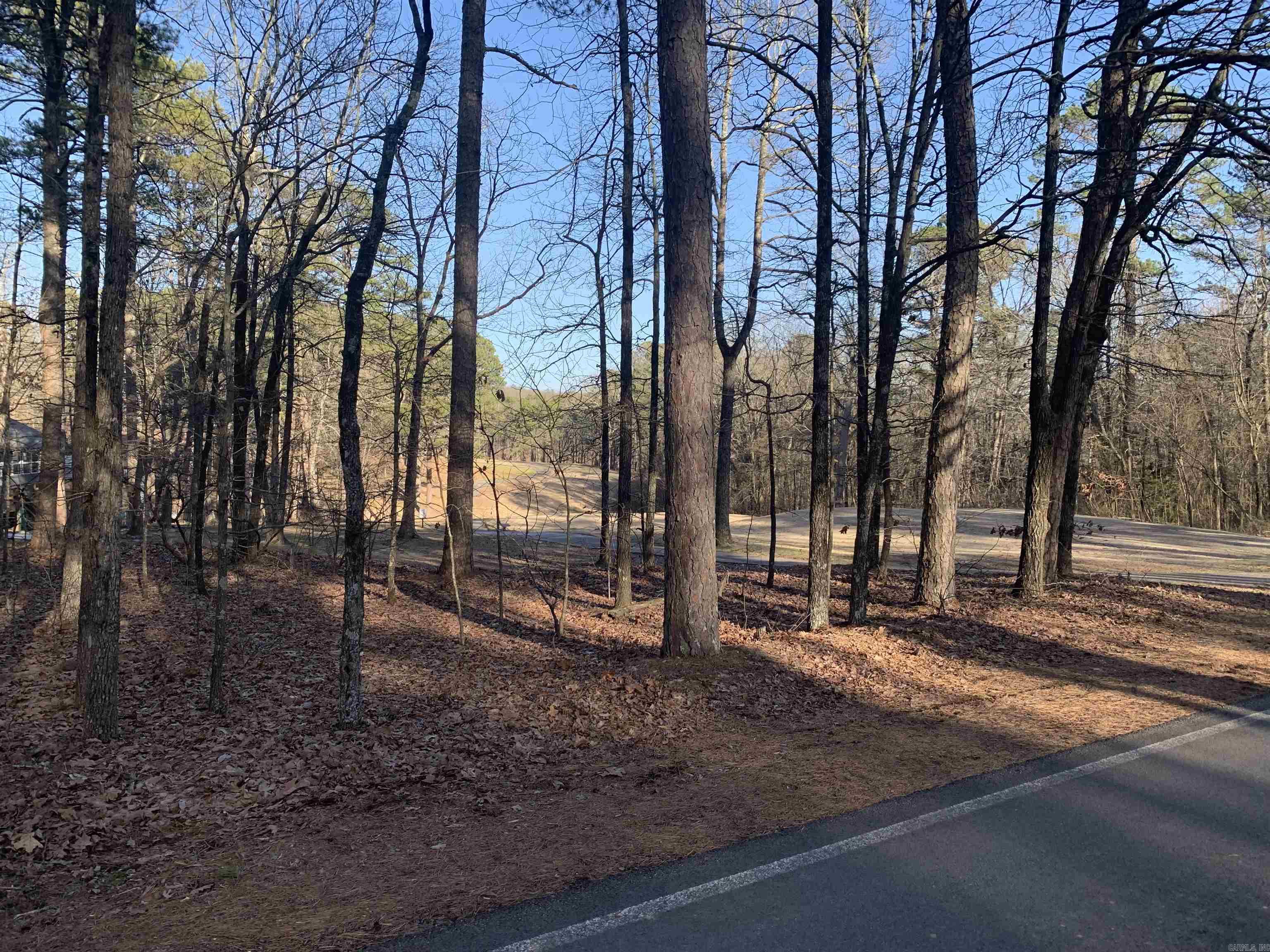 11 Castle Ridge Heights  Fairfield Bay, AR
