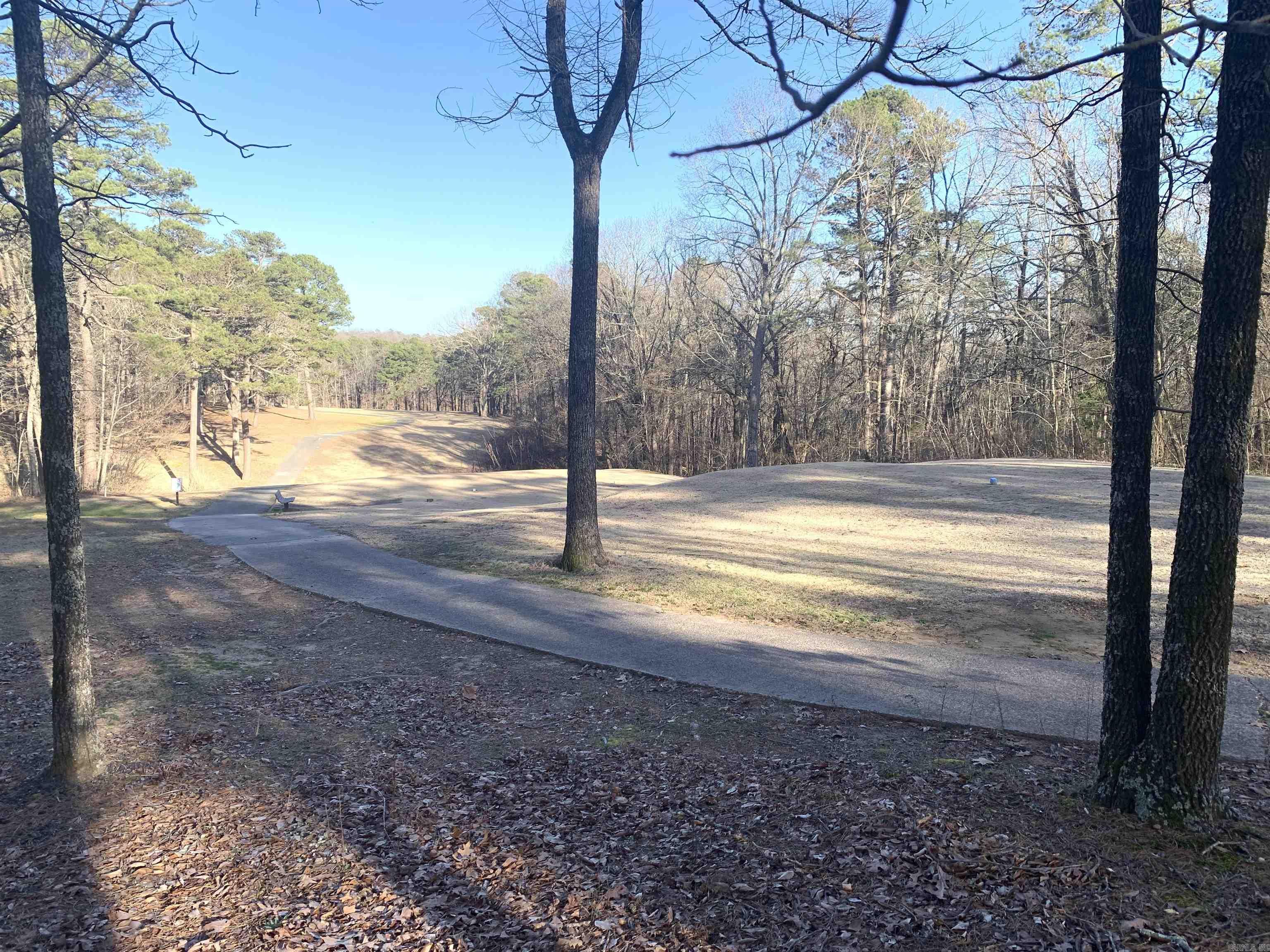11 Castle Ridge Heights  Fairfield Bay, AR