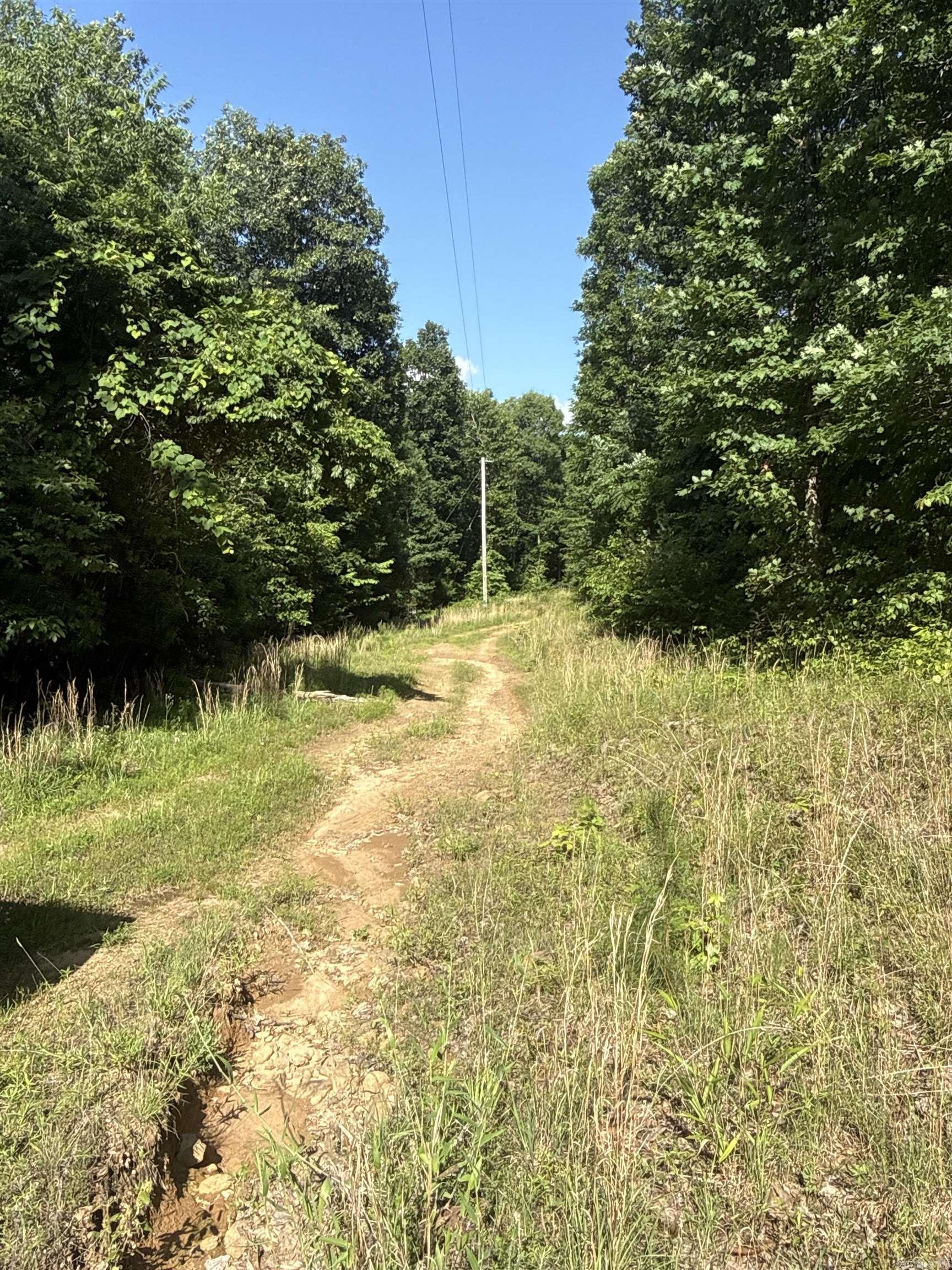 00 Peyton Mountain  Dennard, AR