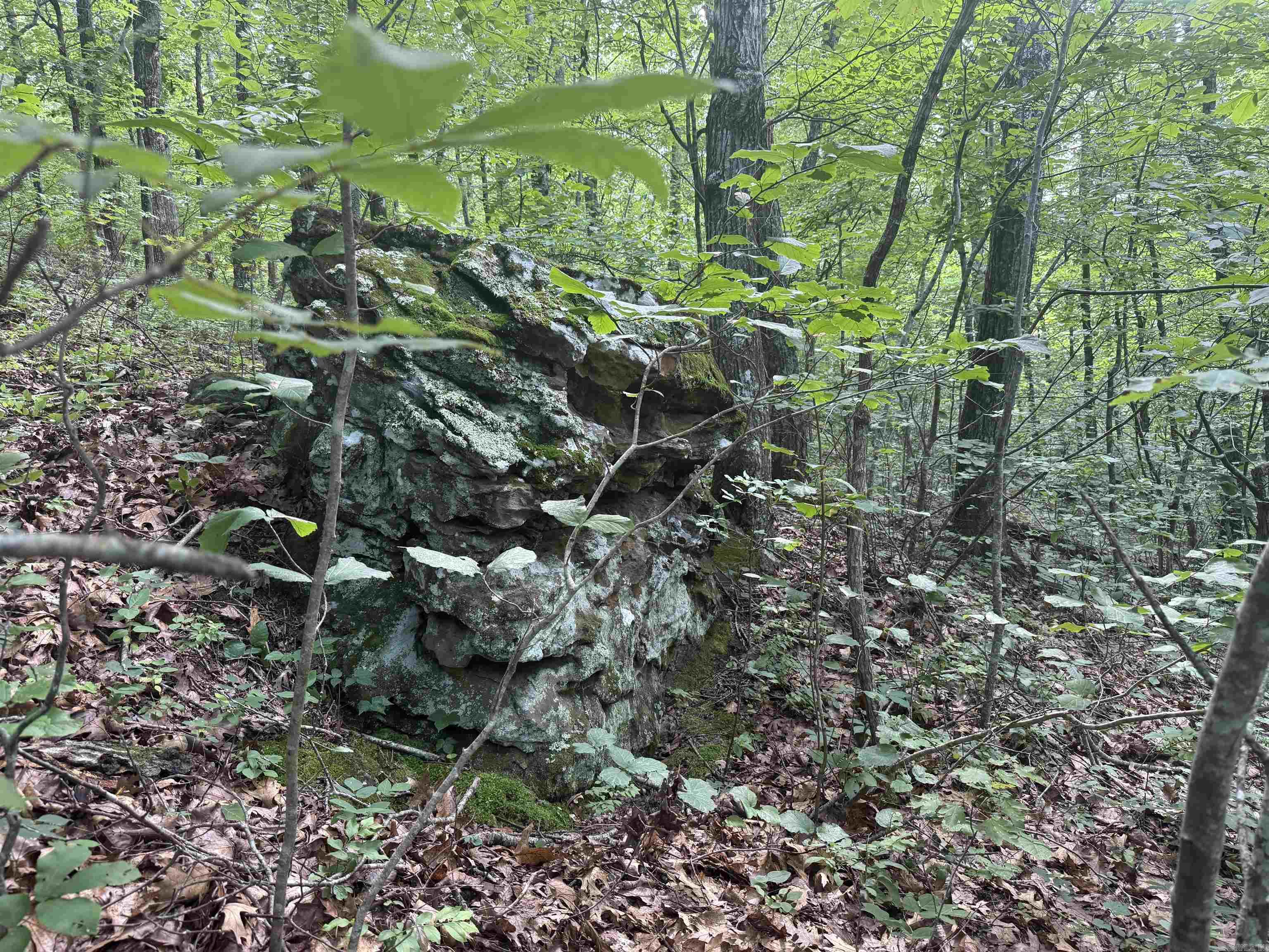 00 Peyton Mountain  Dennard, AR