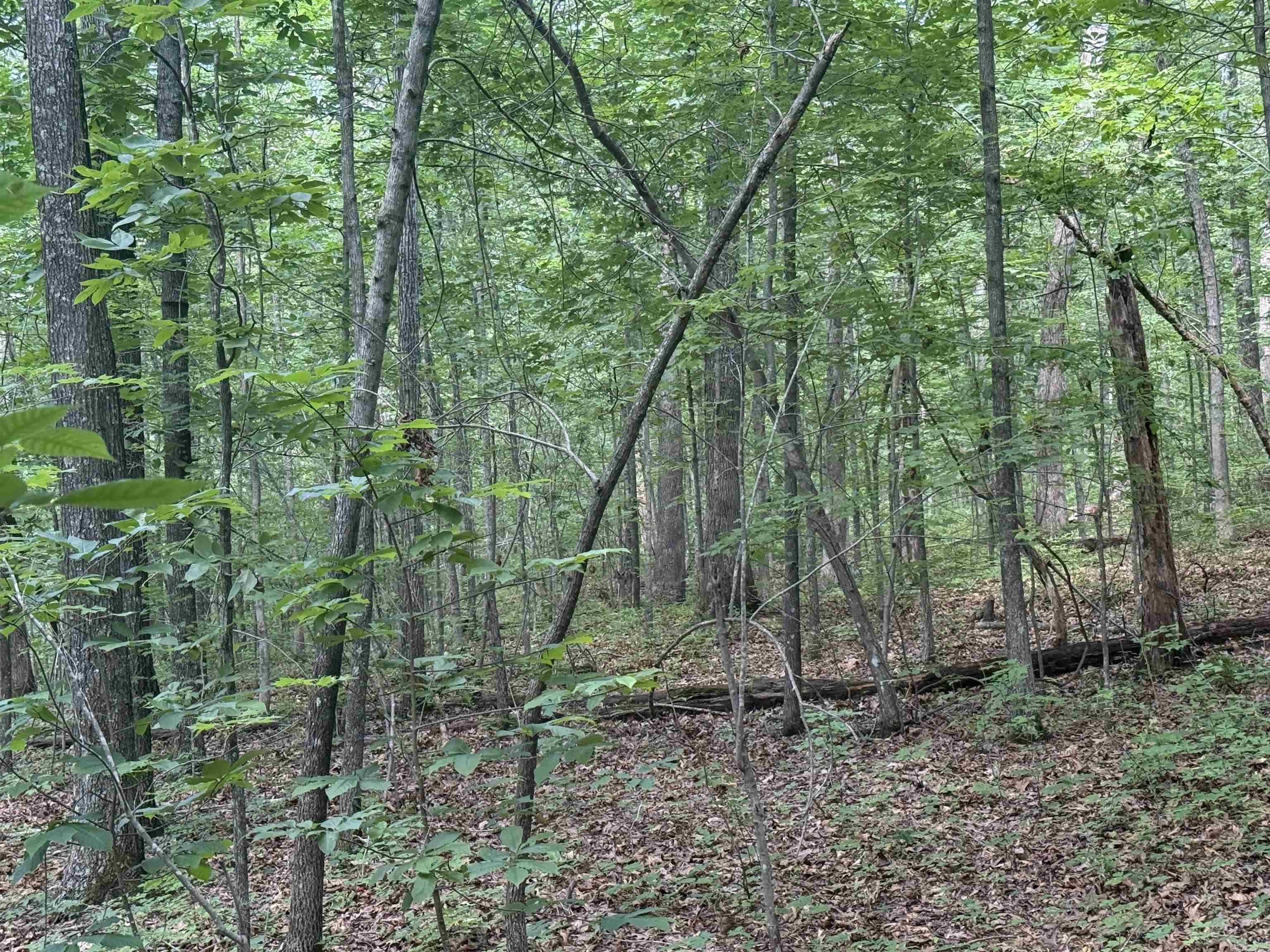 00 Peyton Mountain  Dennard, AR