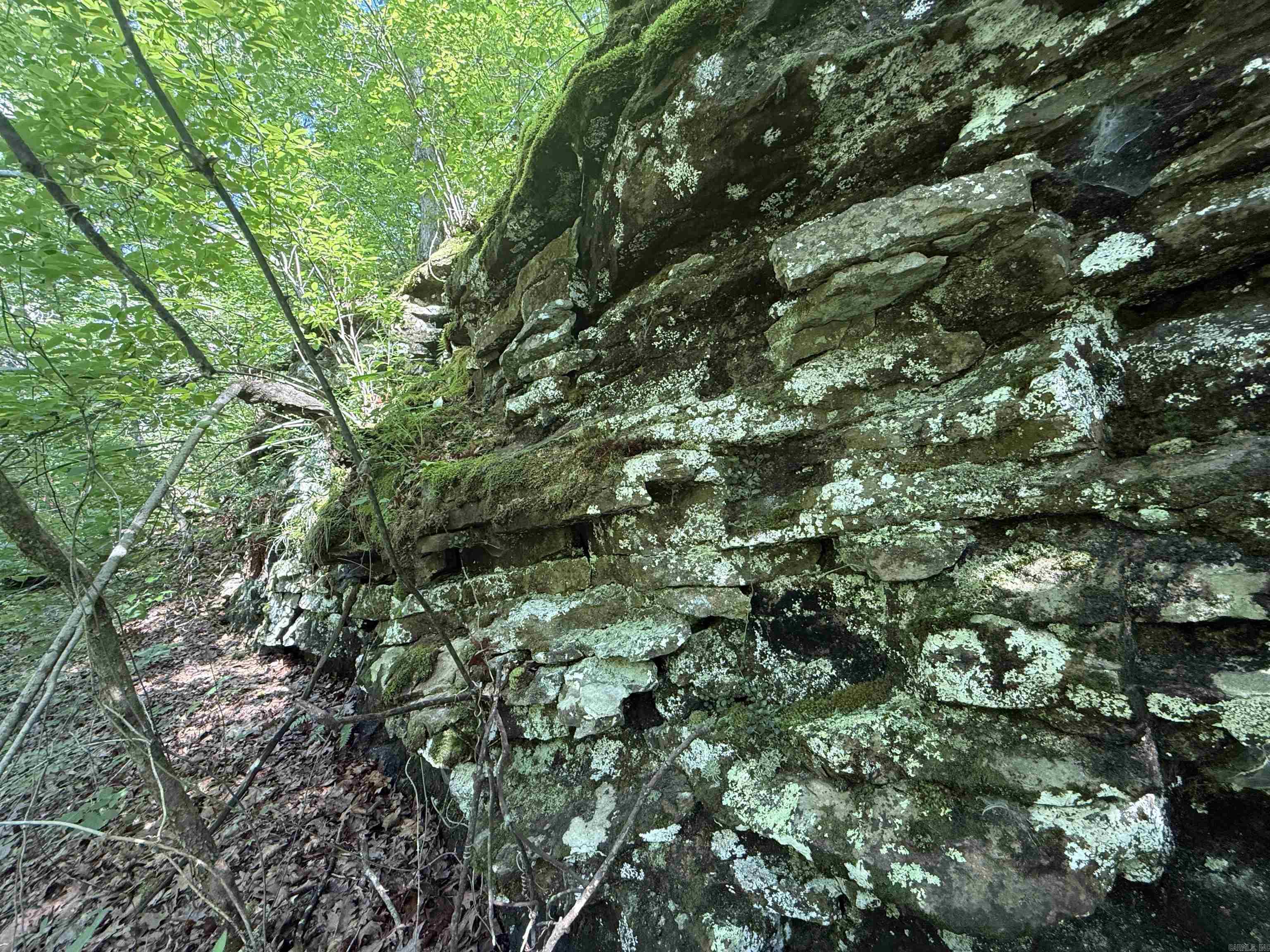 00 Peyton Mountain  Dennard, AR
