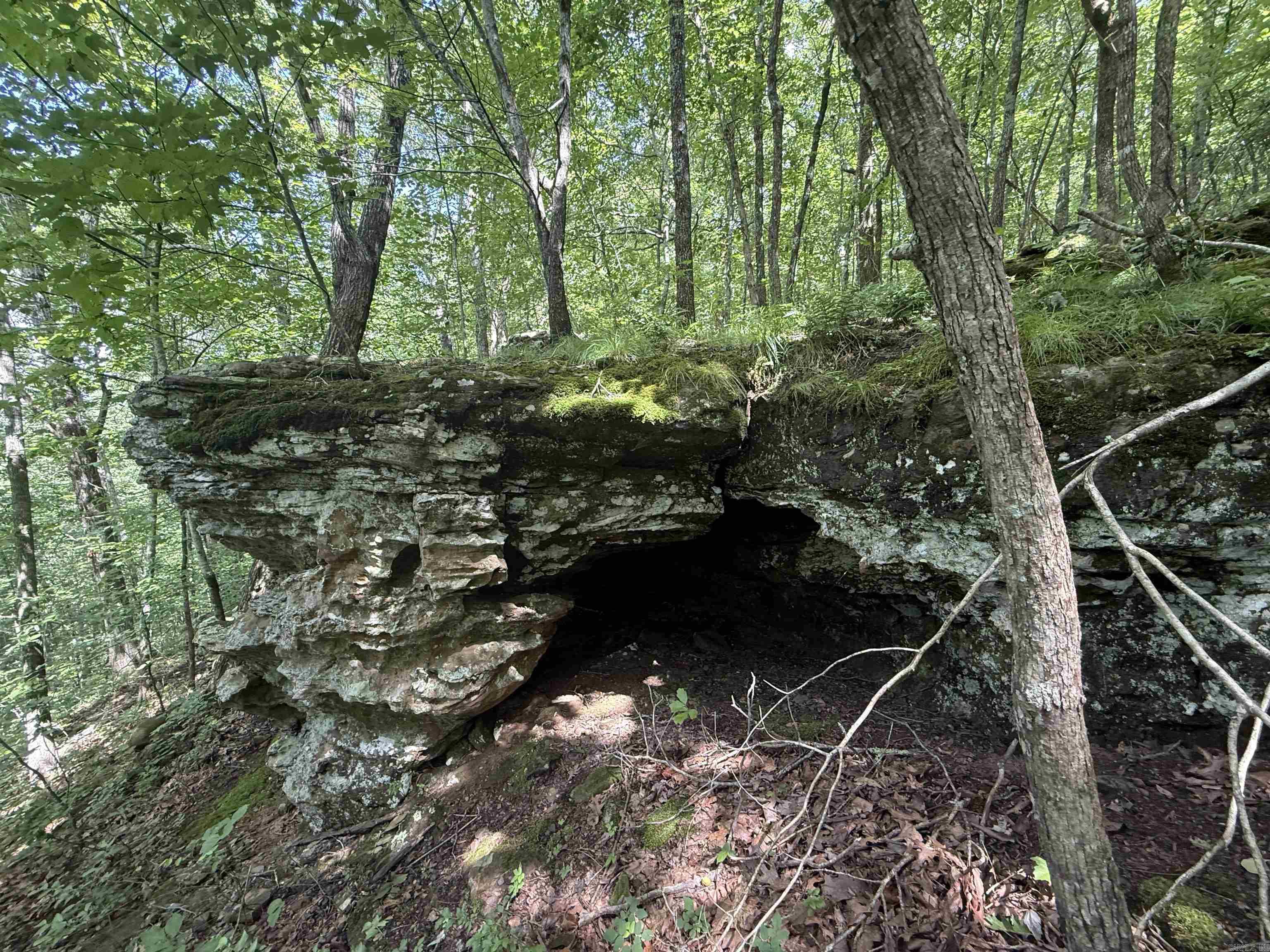 00 Peyton Mountain  Dennard, AR