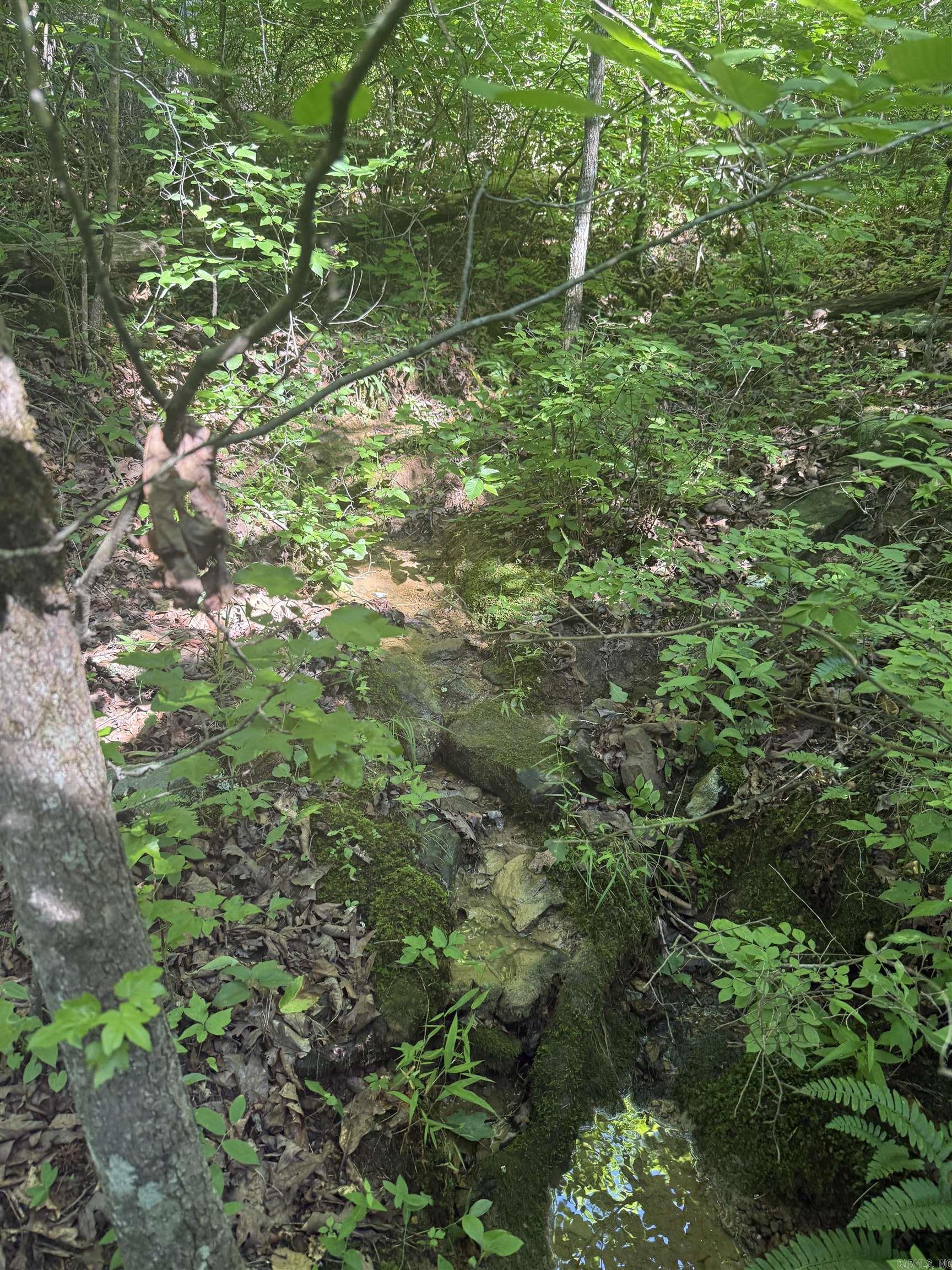 00 Peyton Mountain  Dennard, AR