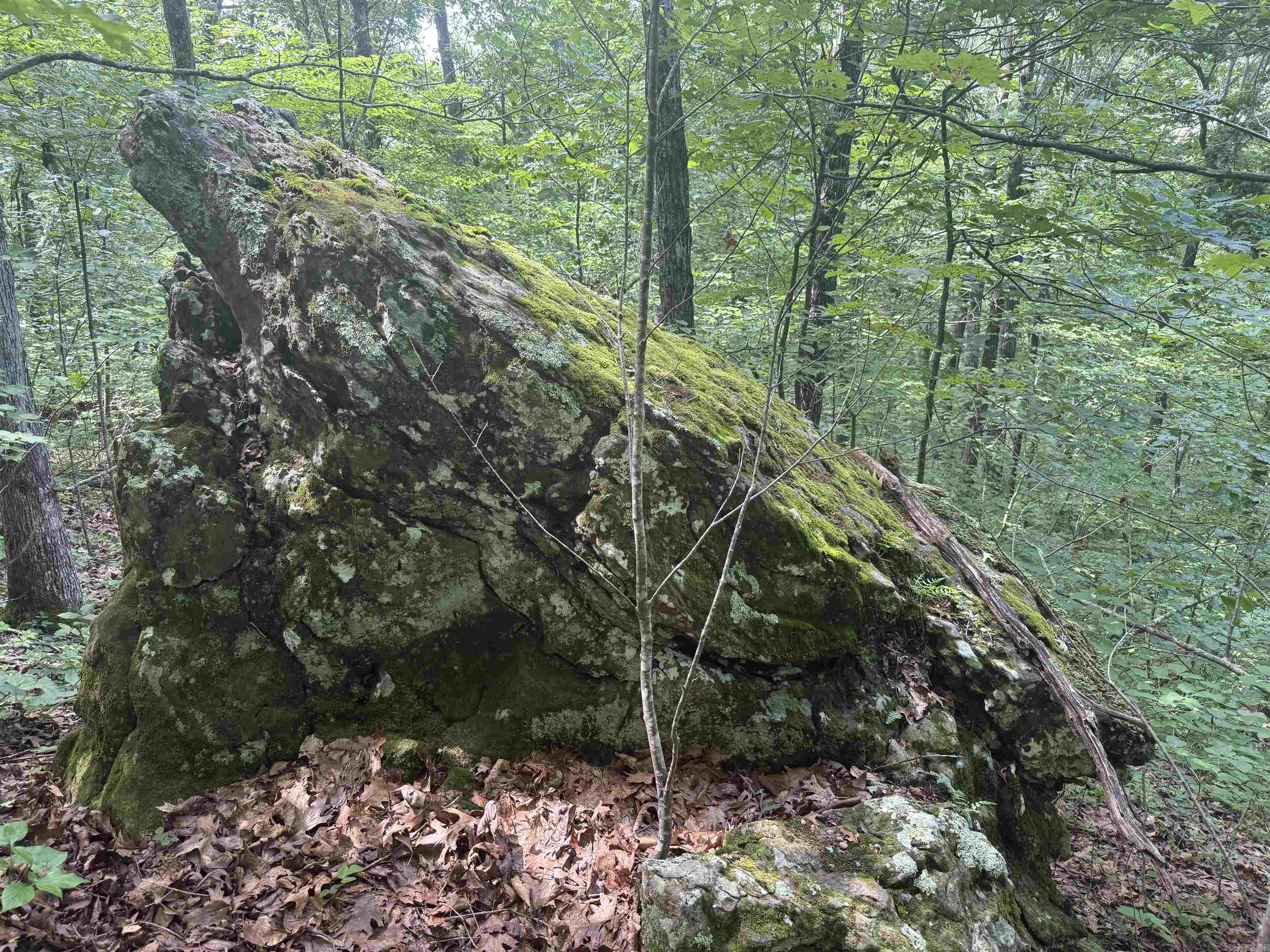 00 Peyton Mountain  Dennard, AR