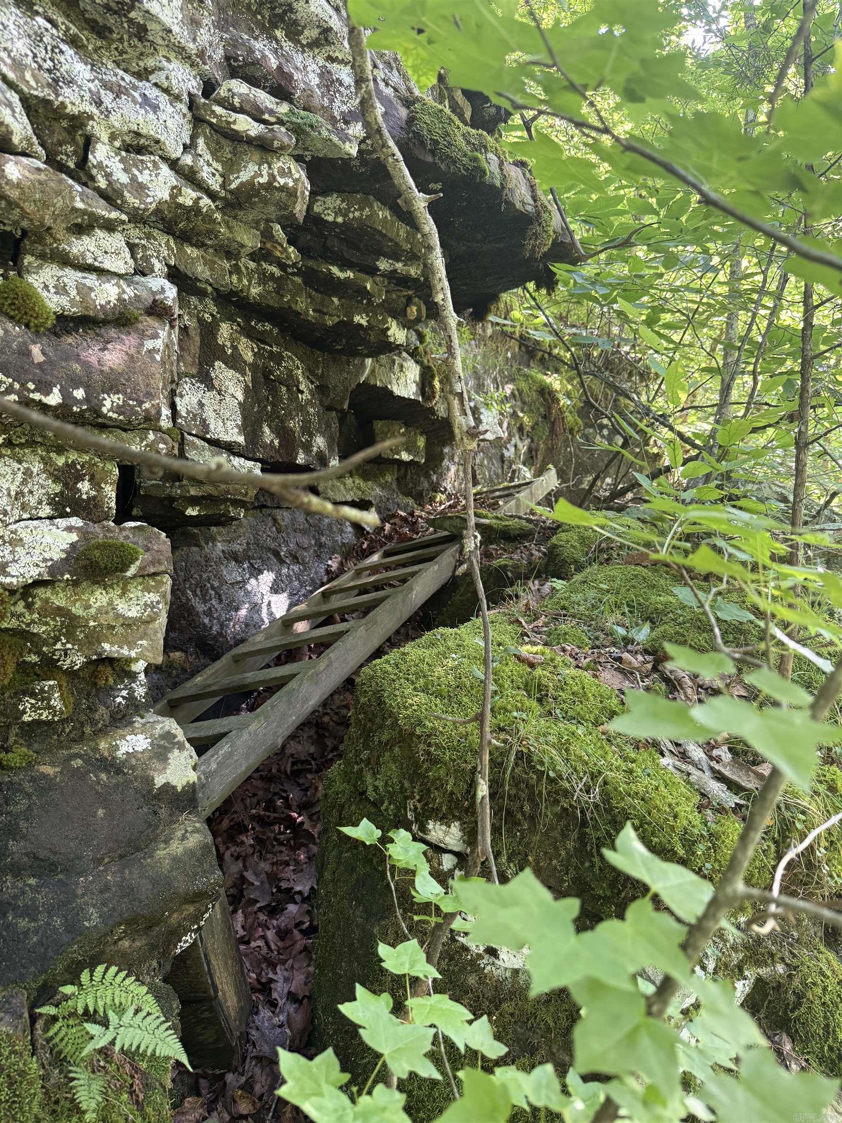 00 Peyton Mountain  Dennard, AR