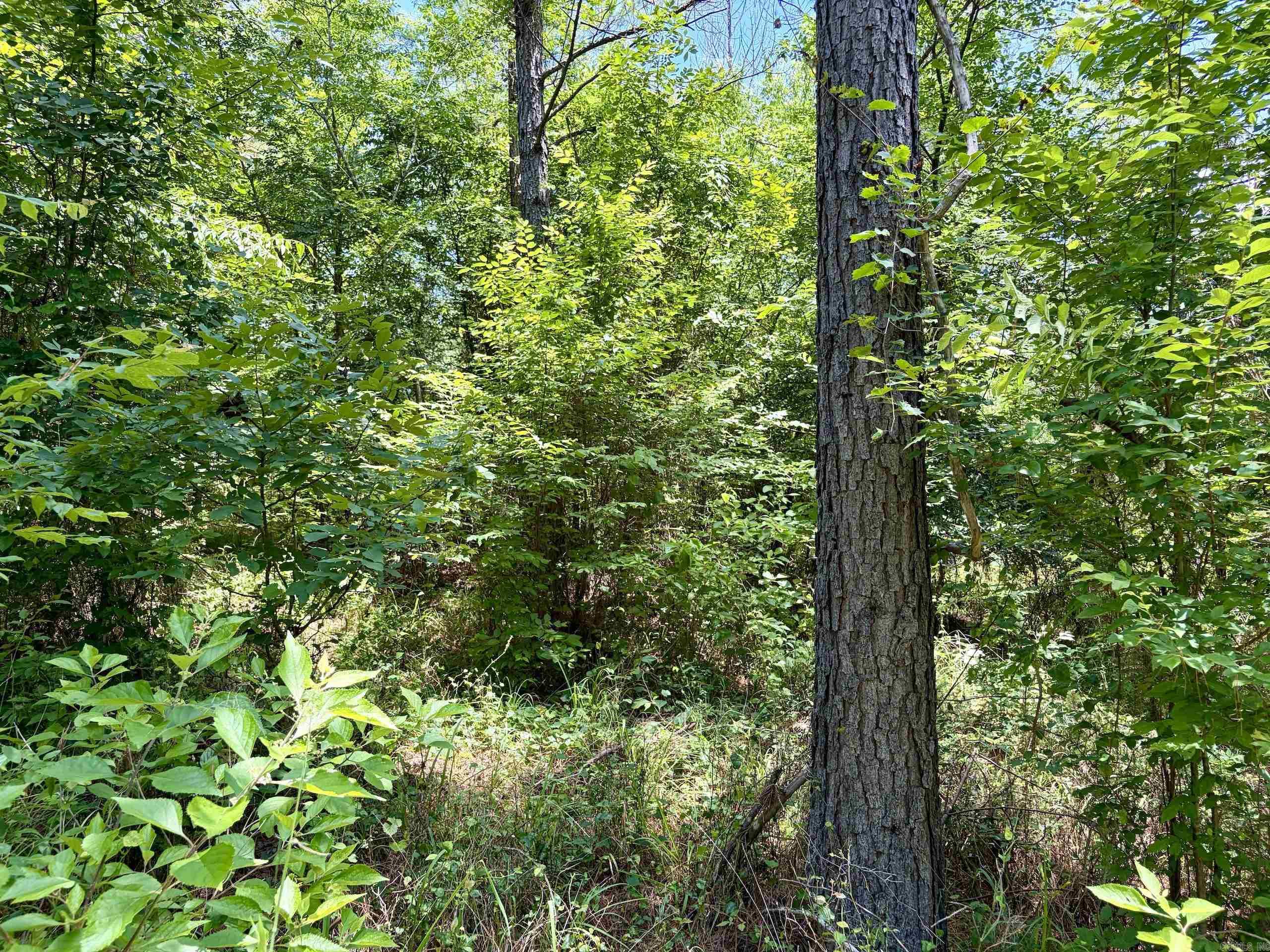 000 Fleetwood Road  Lonsdale, AR
