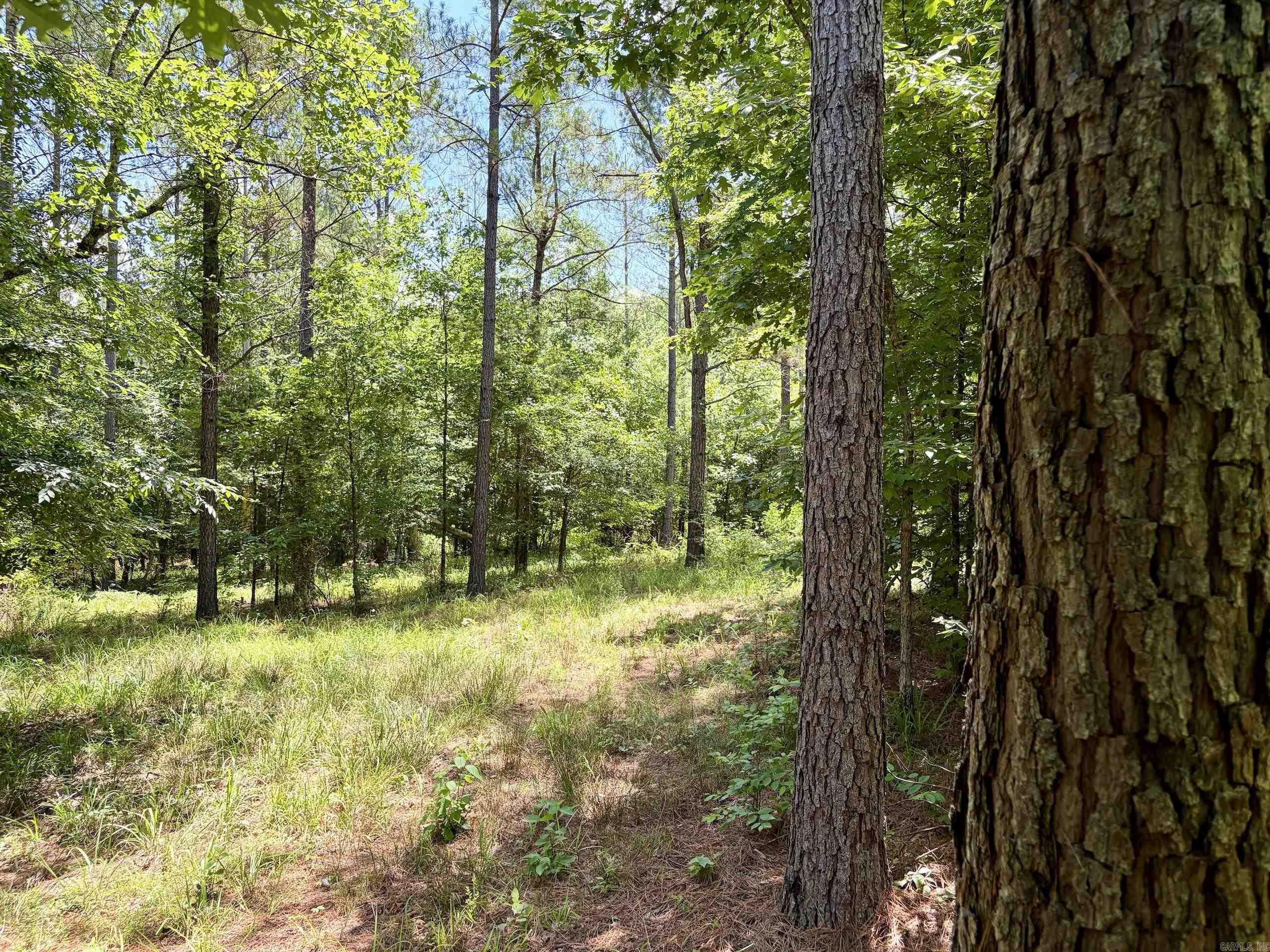000 Fleetwood Road  Lonsdale, AR