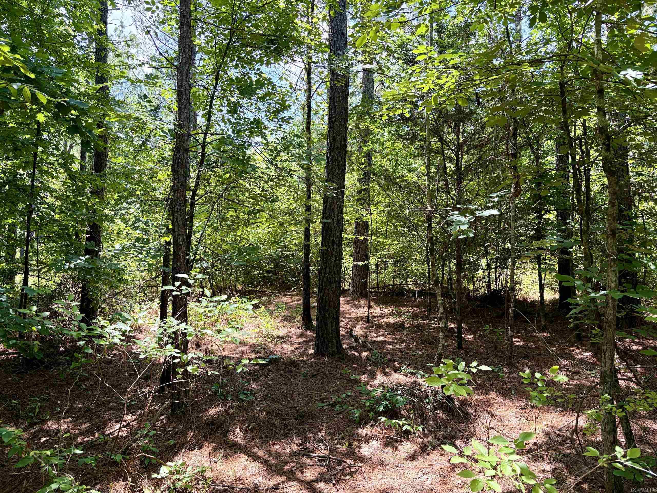 000 Fleetwood Road  Lonsdale, AR