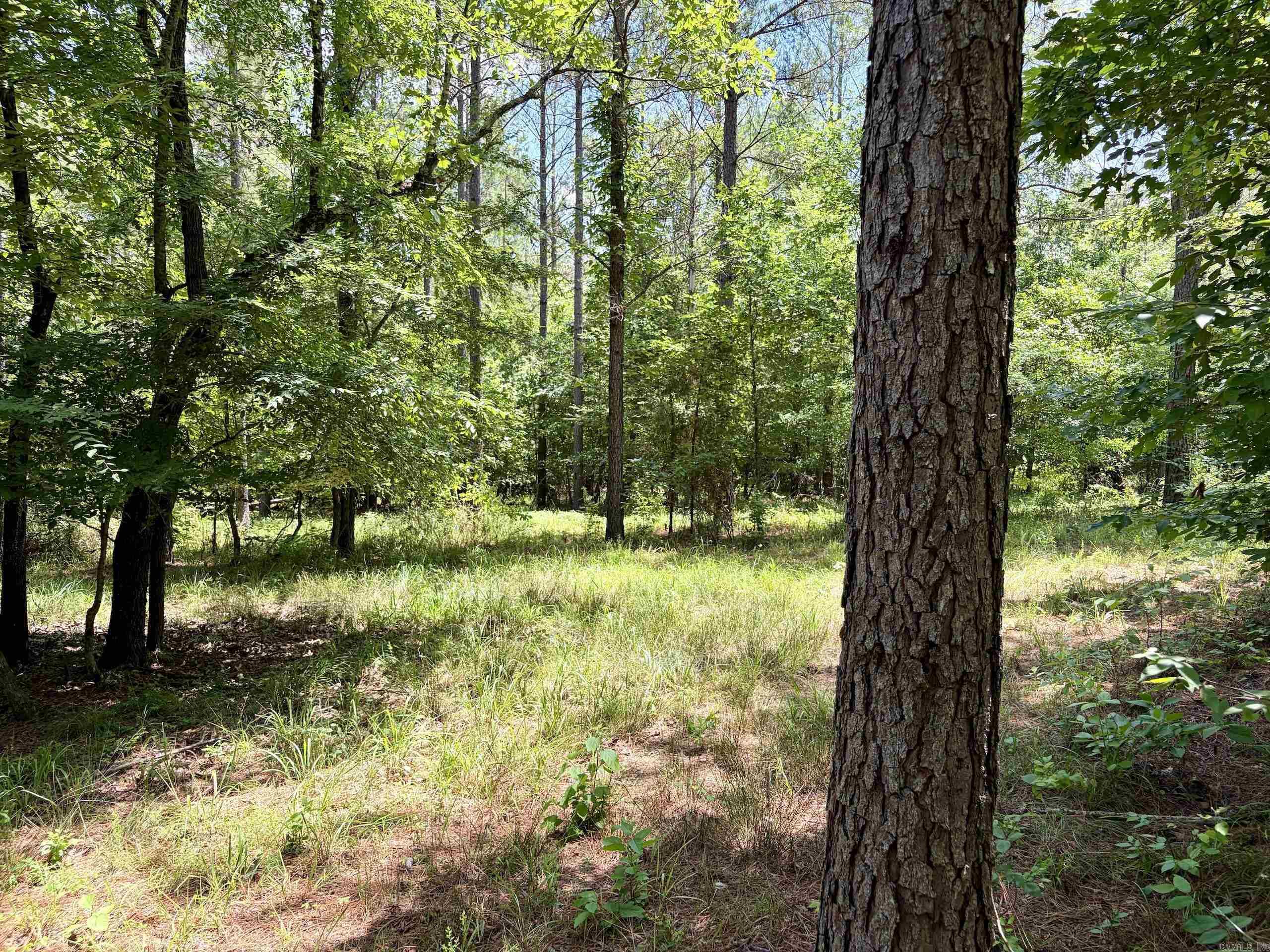 000 Fleetwood Road  Lonsdale, AR