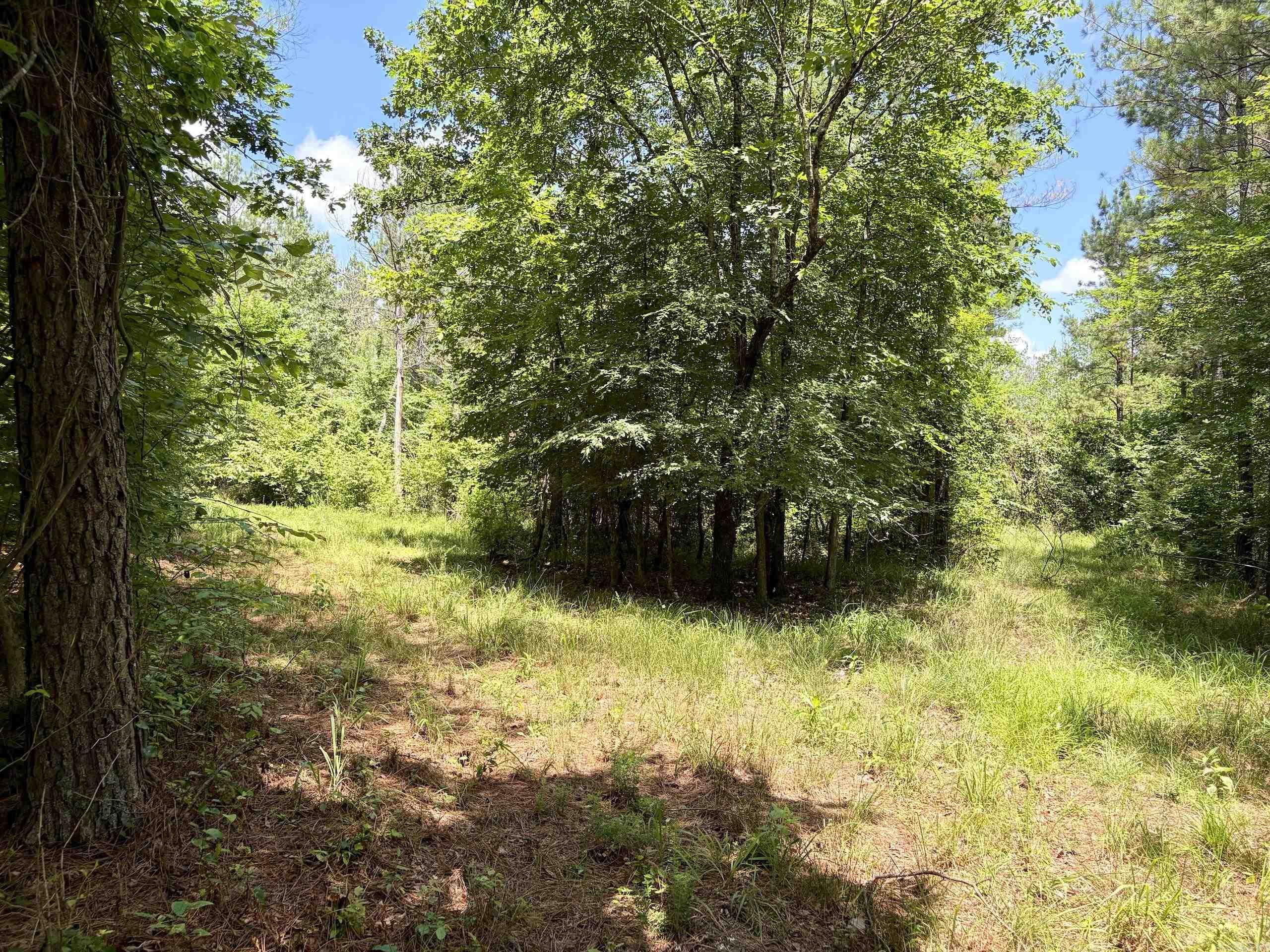 000 Fleetwood Road  Lonsdale, AR