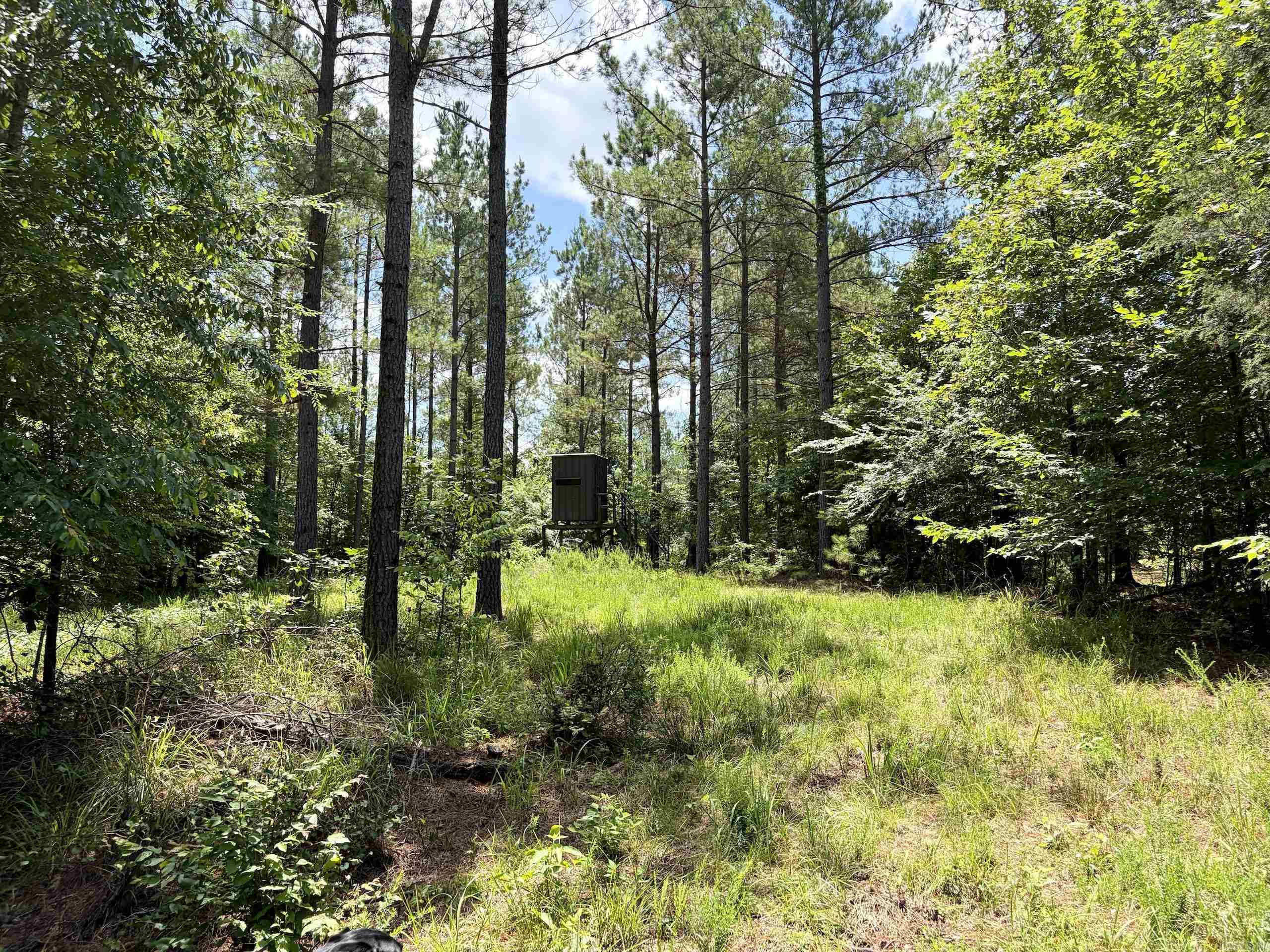 000 Fleetwood Road  Lonsdale, AR