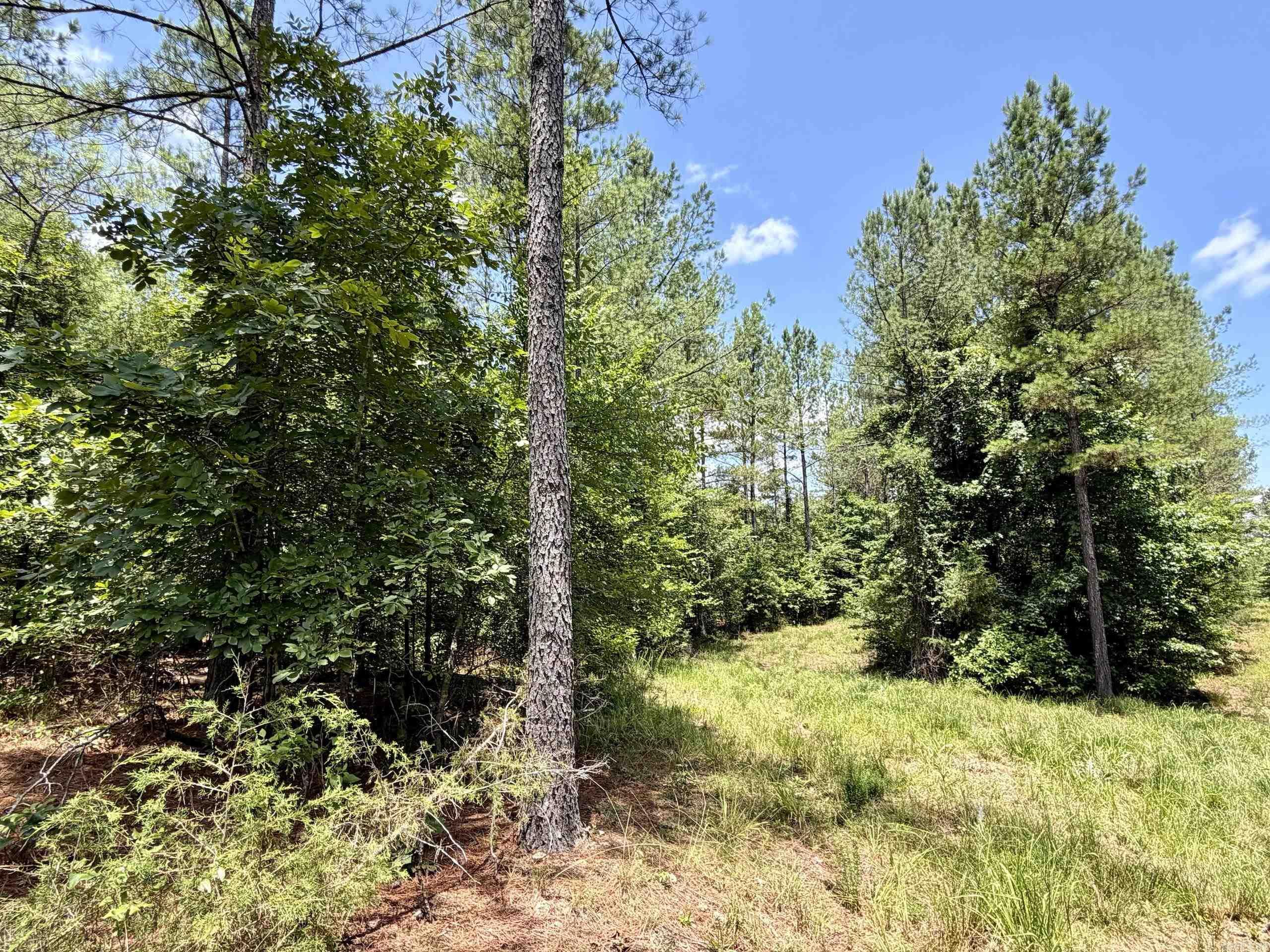 000 Fleetwood Road  Lonsdale, AR