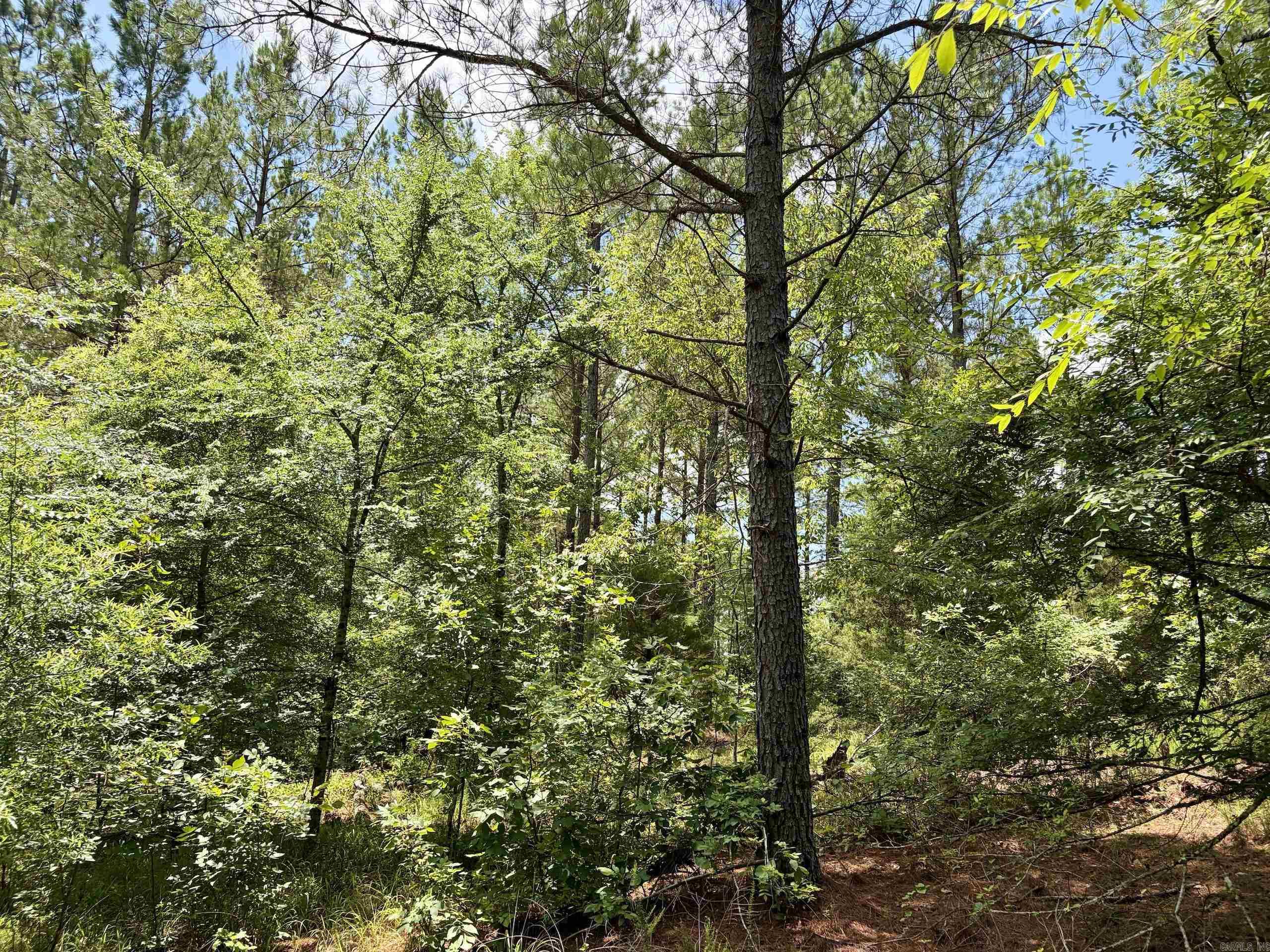 000 Fleetwood Road  Lonsdale, AR