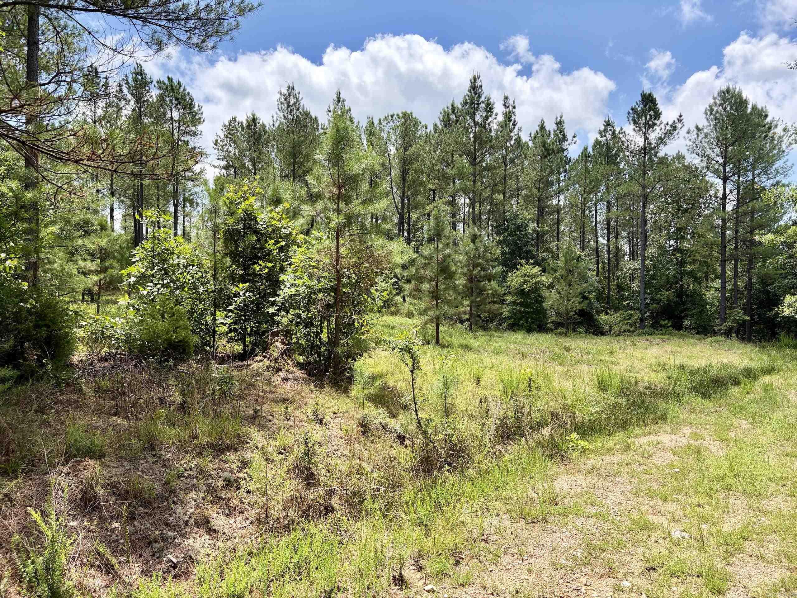 000 Fleetwood Road  Lonsdale, AR