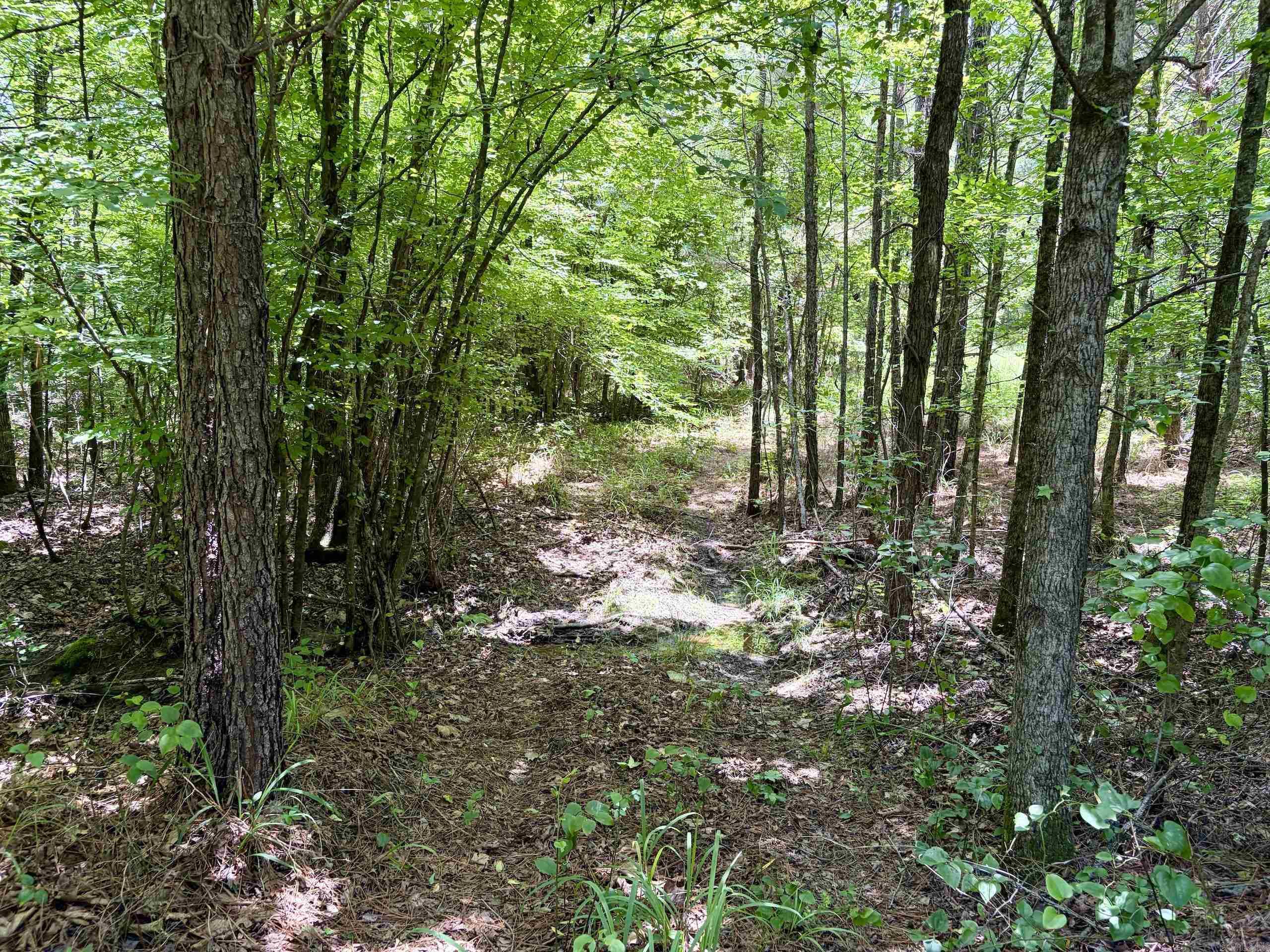 000 Fleetwood Road  Lonsdale, AR