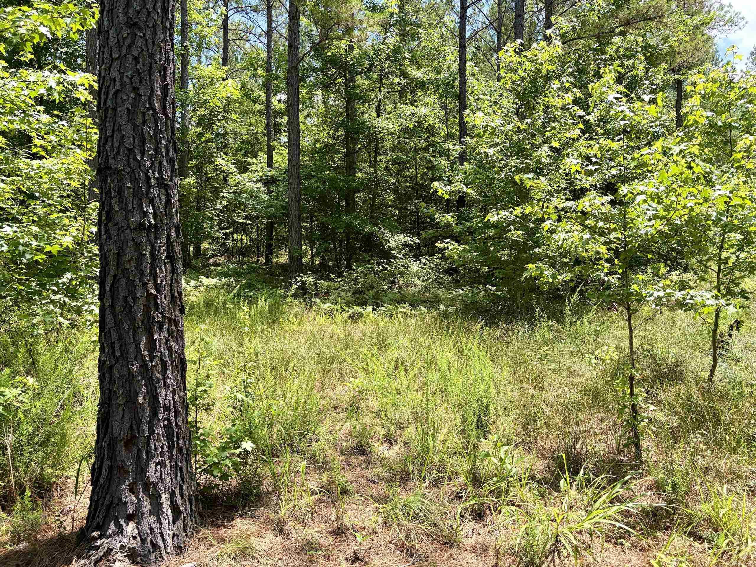 000 Fleetwood Road  Lonsdale, AR