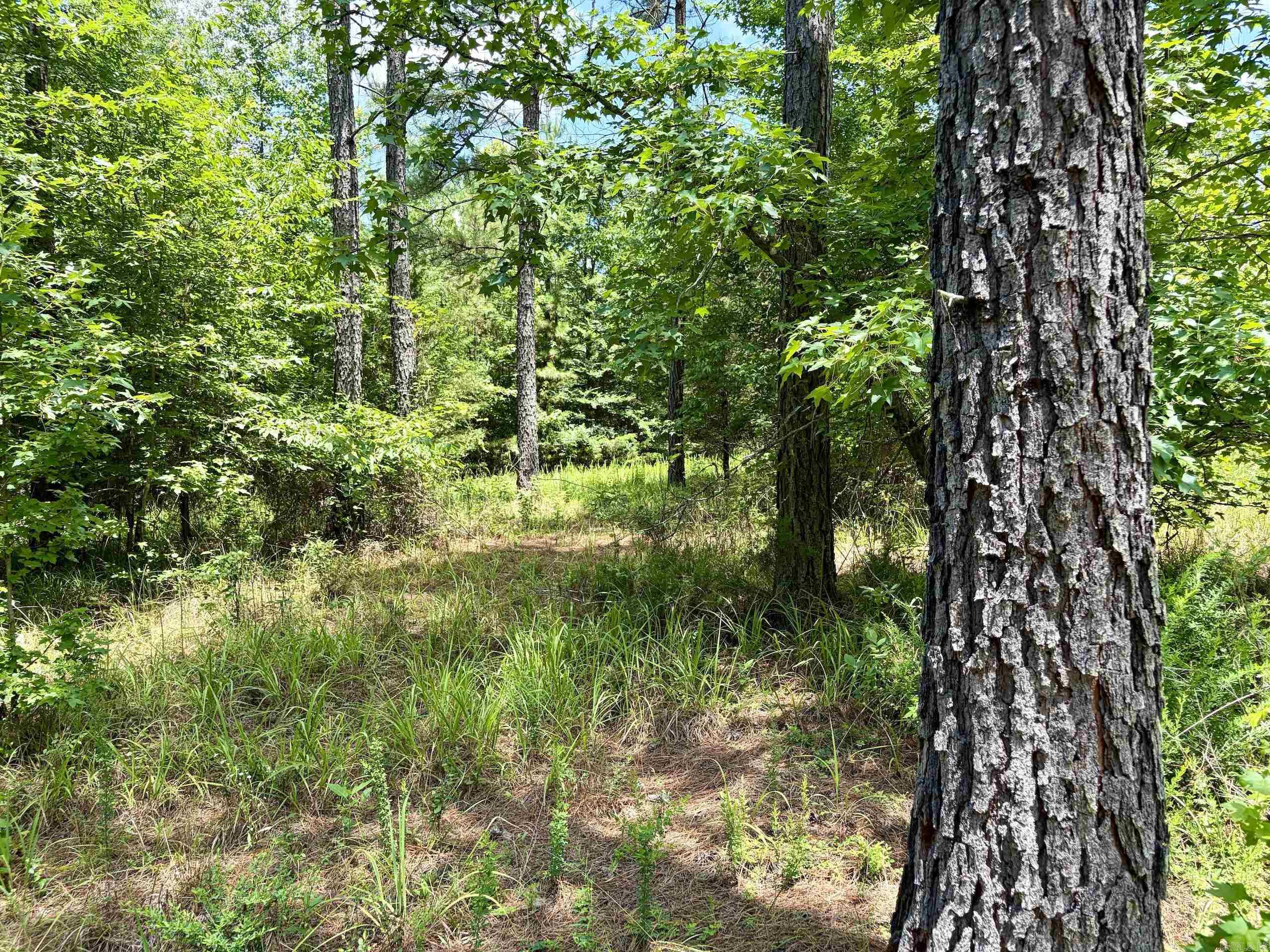 000 Fleetwood Road  Lonsdale, AR