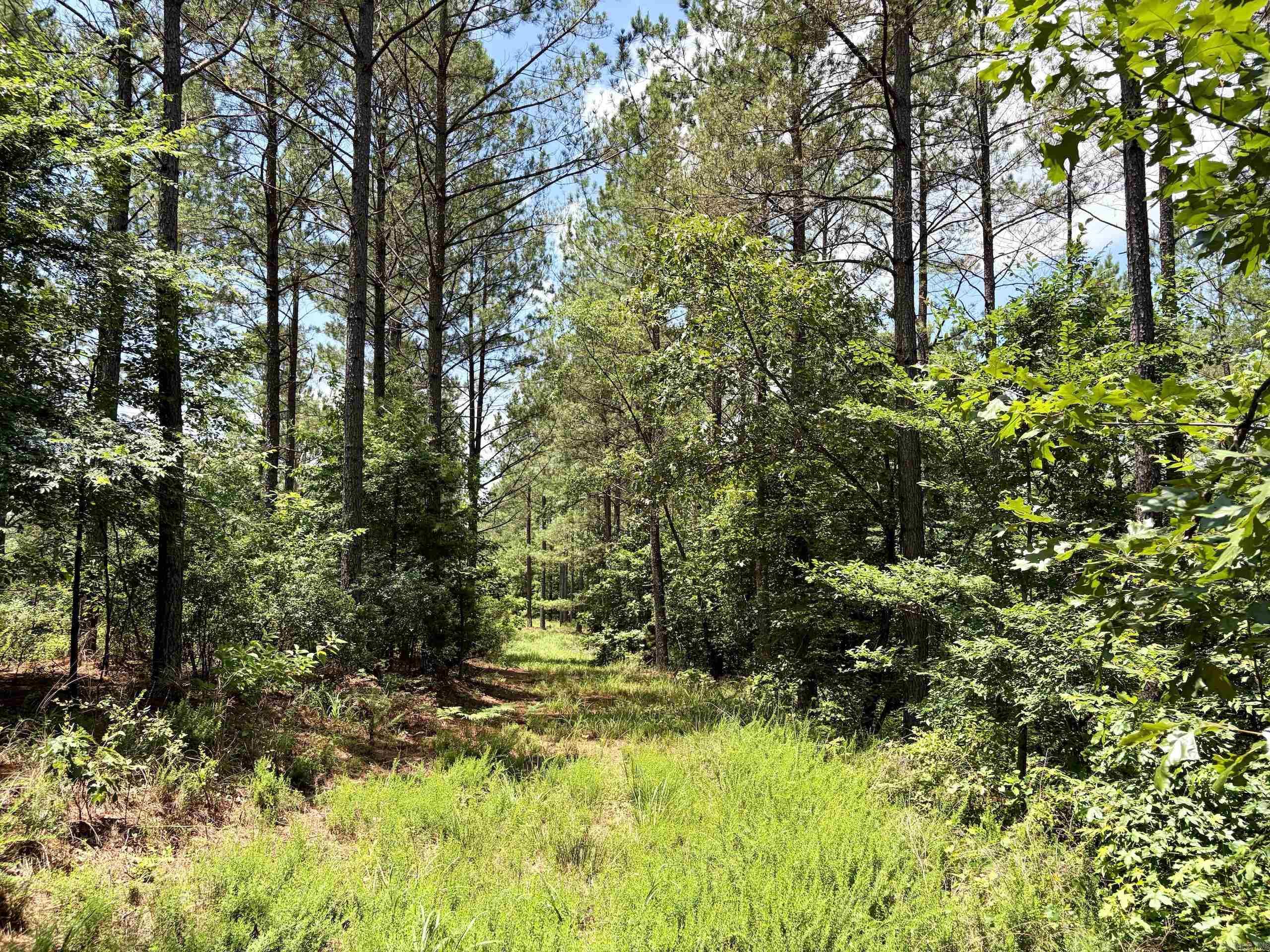 000 Fleetwood Road  Lonsdale, AR