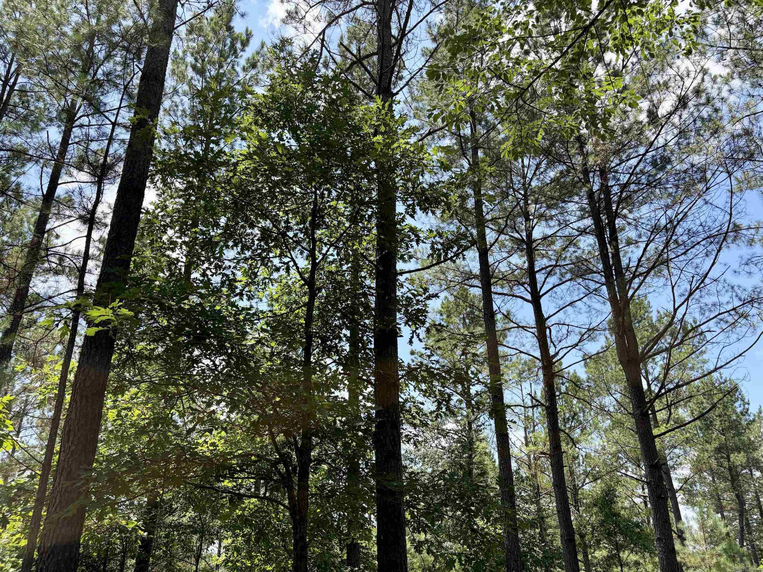 000 Fleetwood Road  Lonsdale, AR