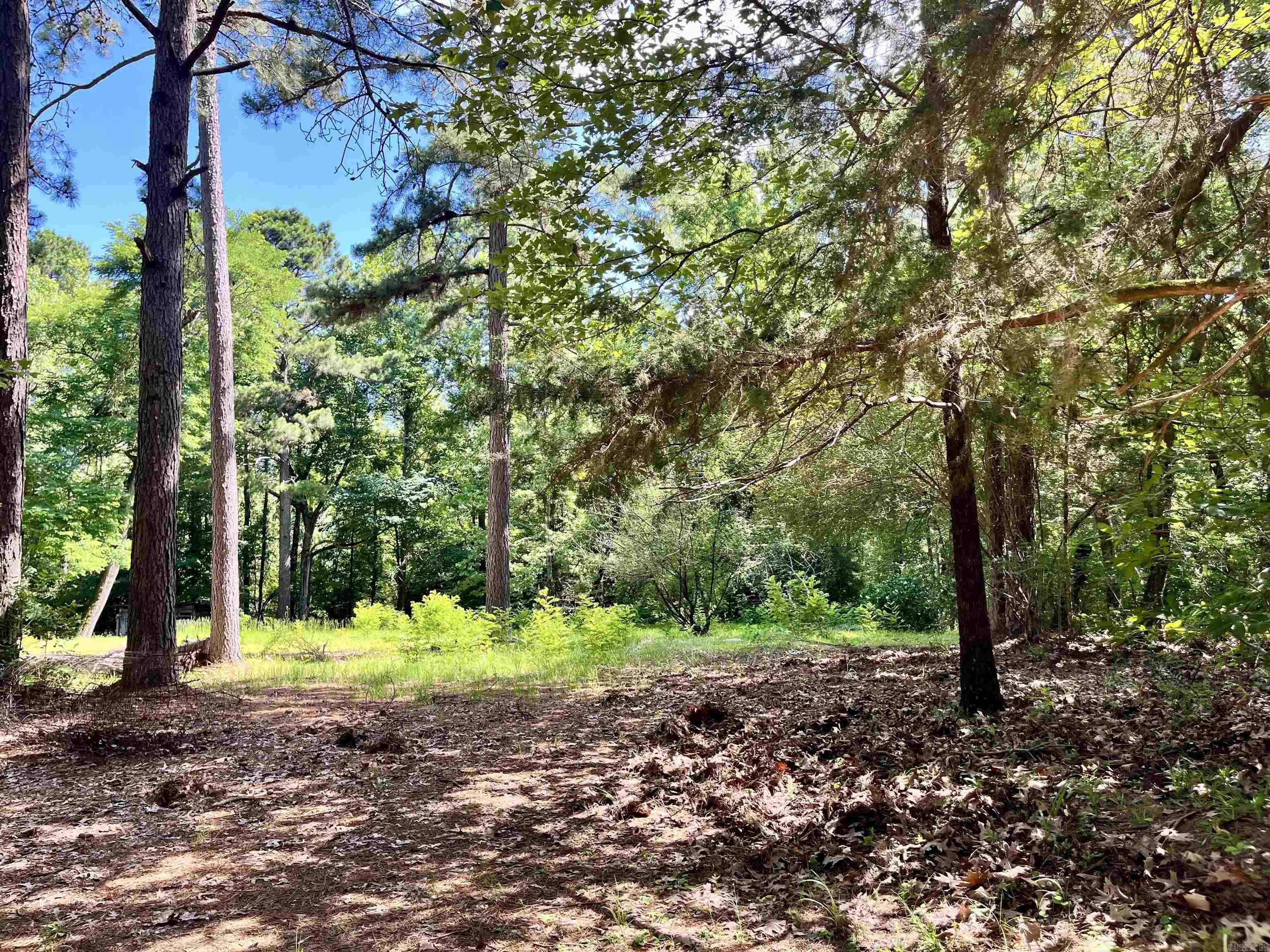 130 Dallas 216  Sparkman, AR
