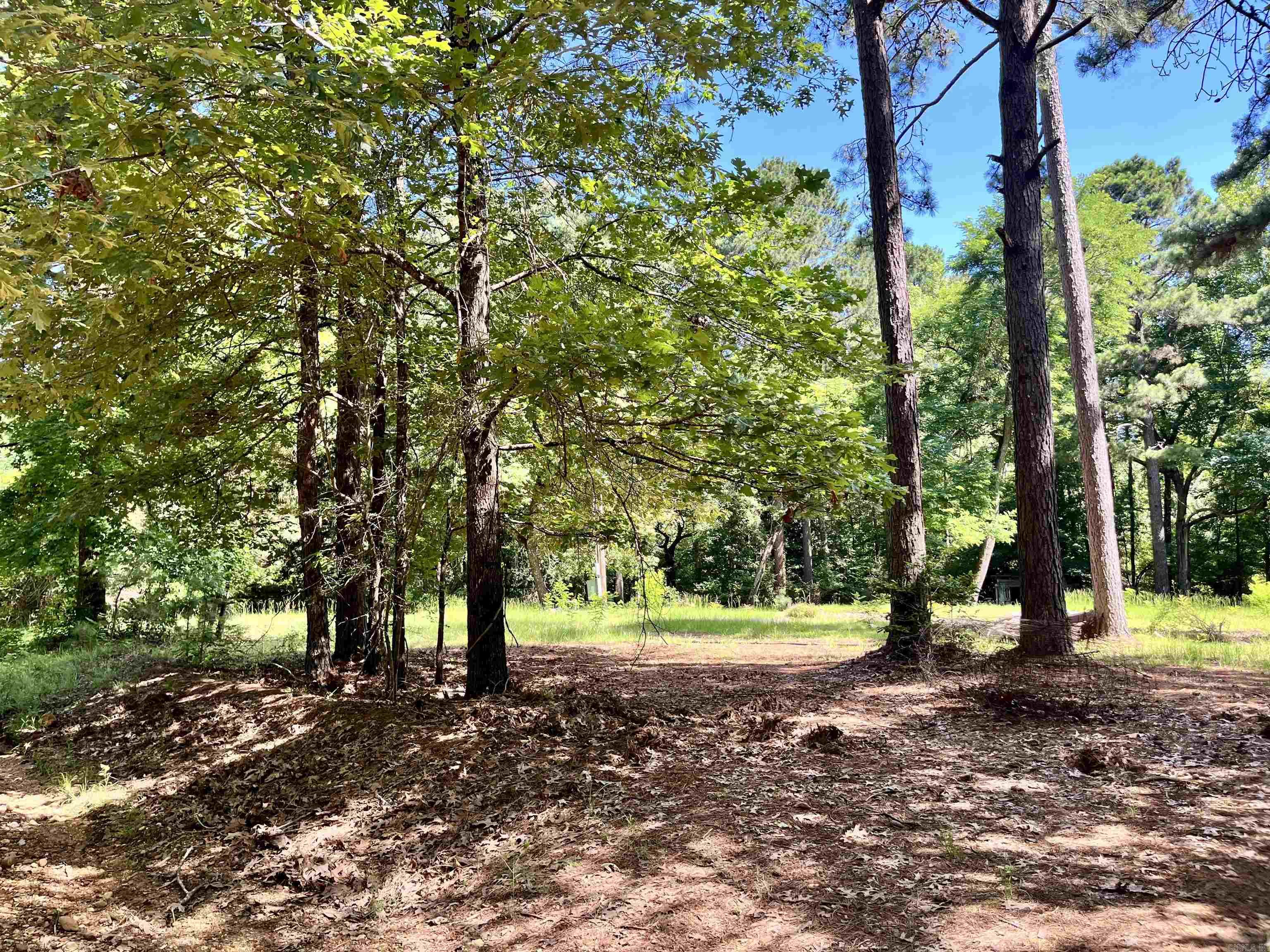 130 Dallas 216  Sparkman, AR