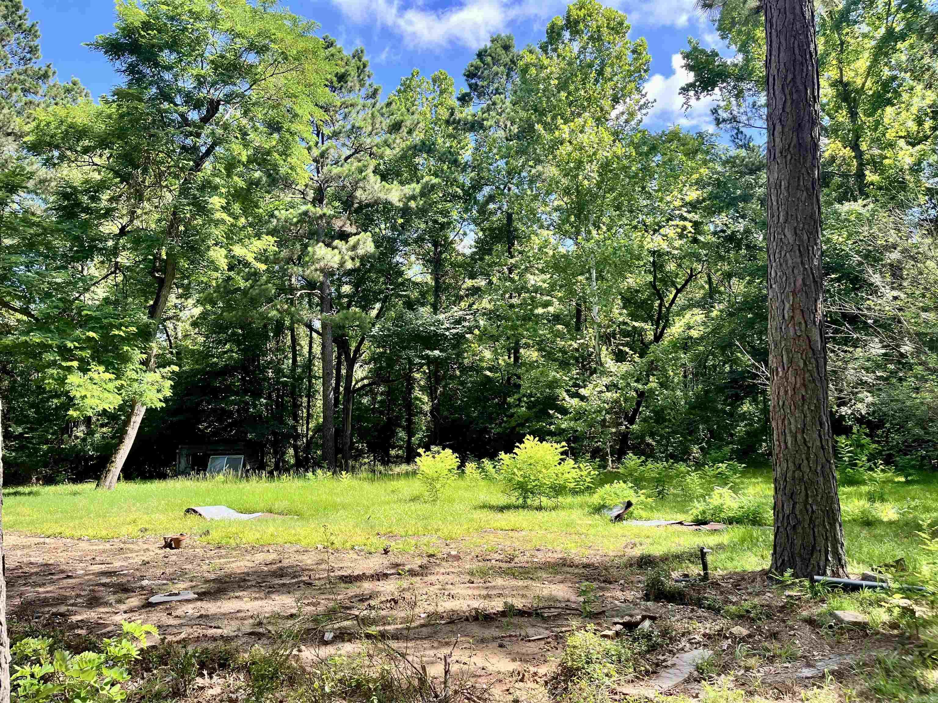 130 Dallas 216  Sparkman, AR