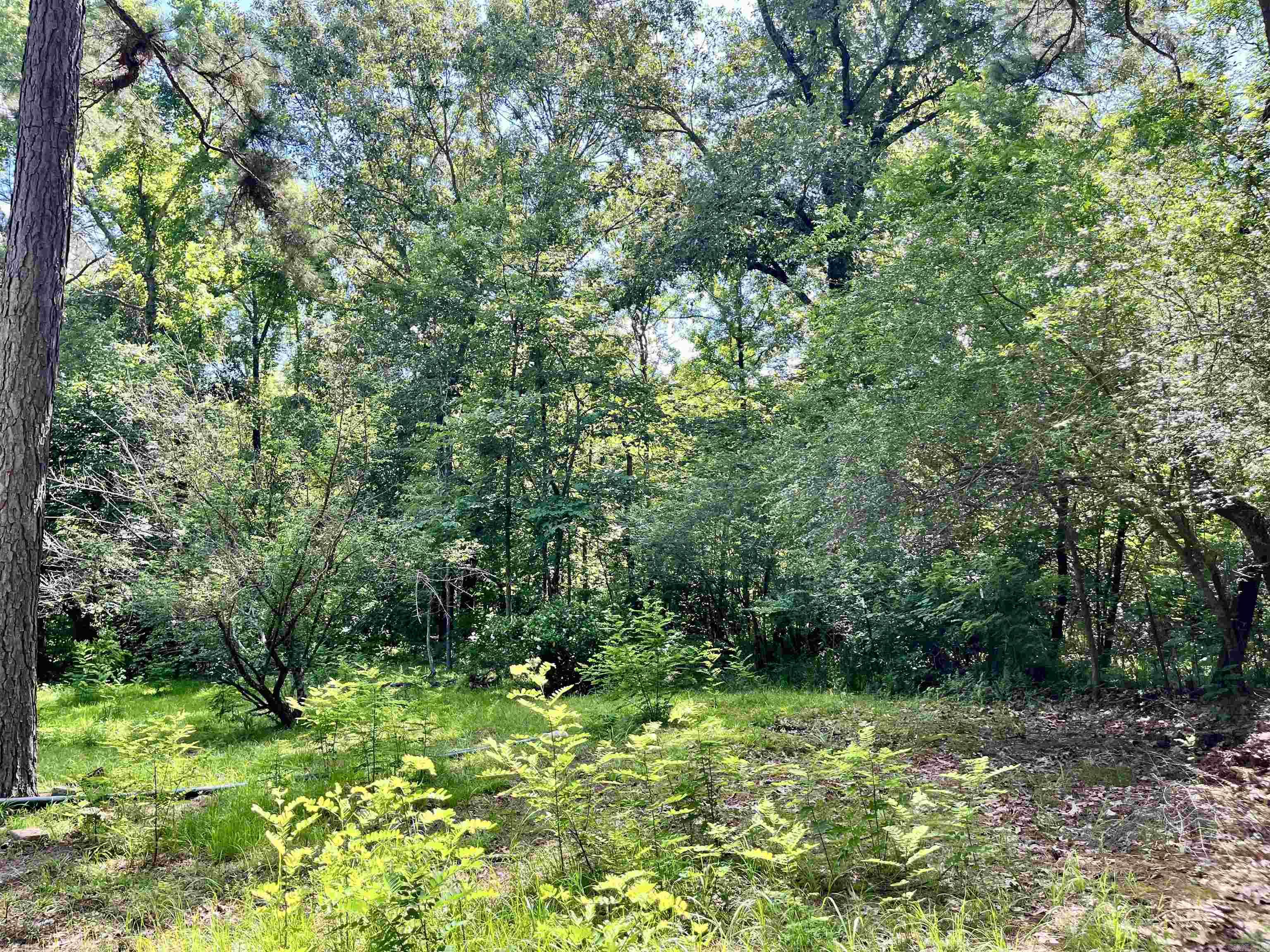 130 Dallas 216  Sparkman, AR