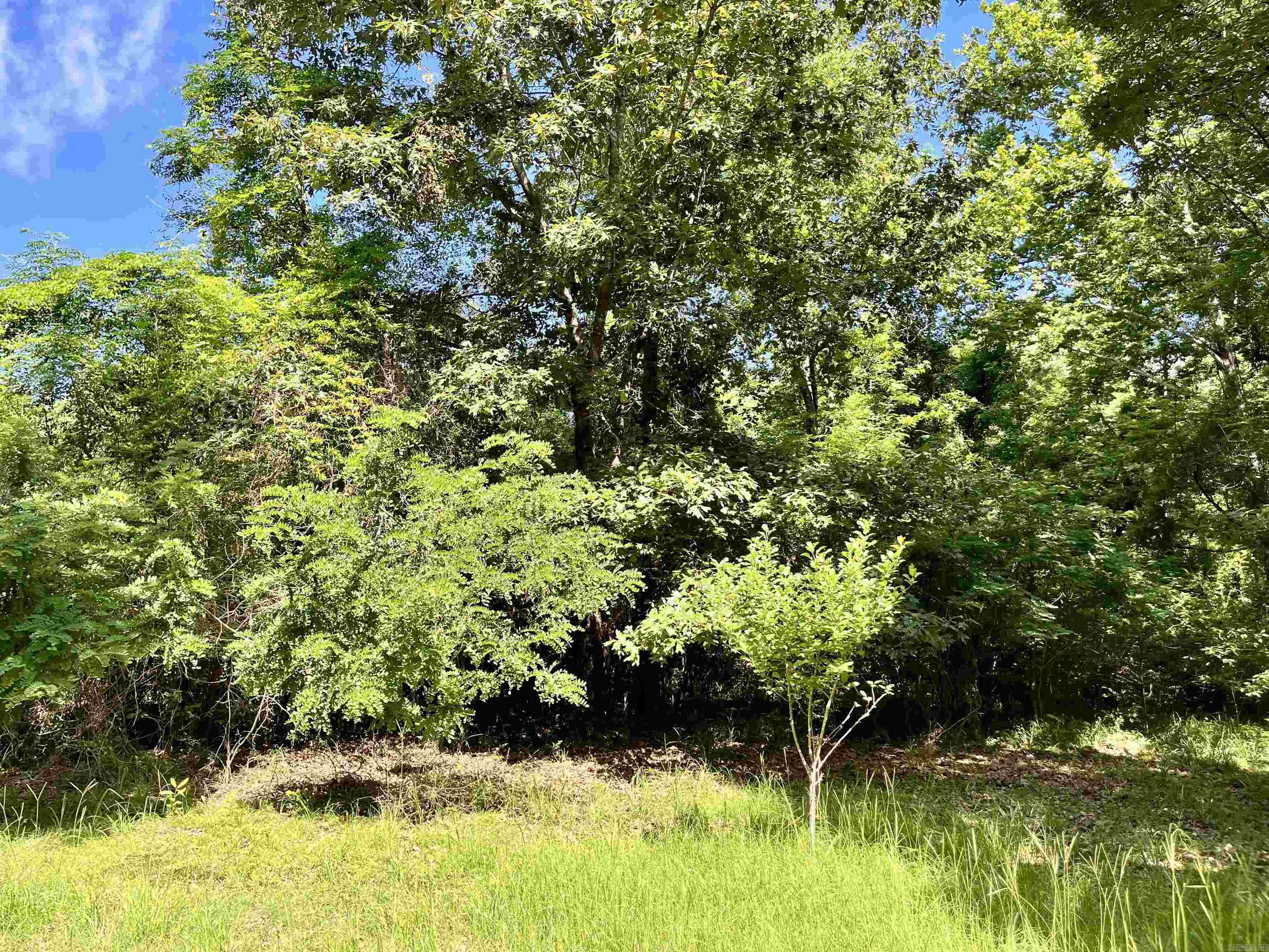 130 Dallas 216  Sparkman, AR
