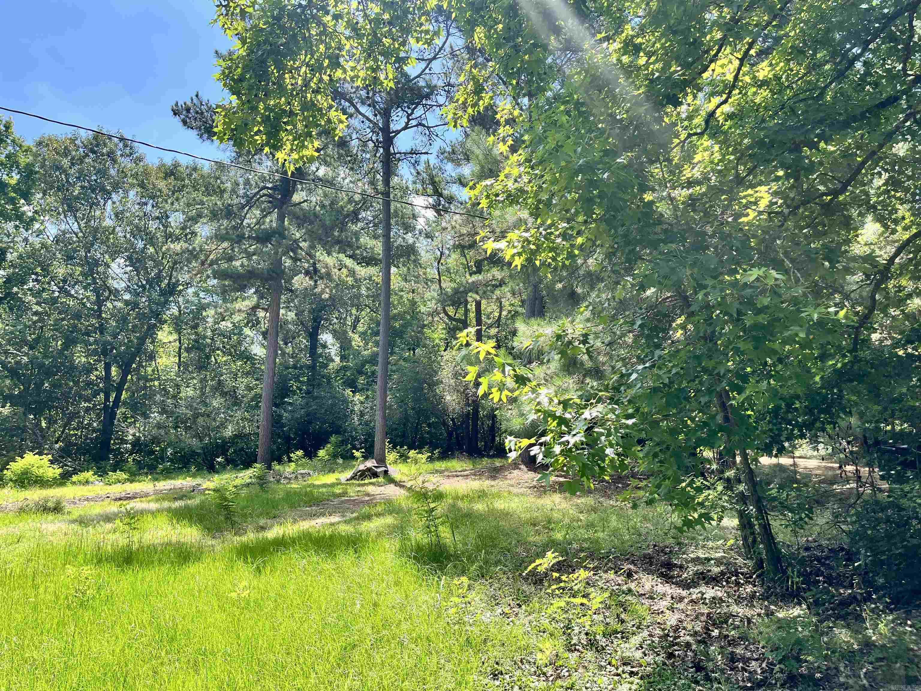 130 Dallas 216  Sparkman, AR
