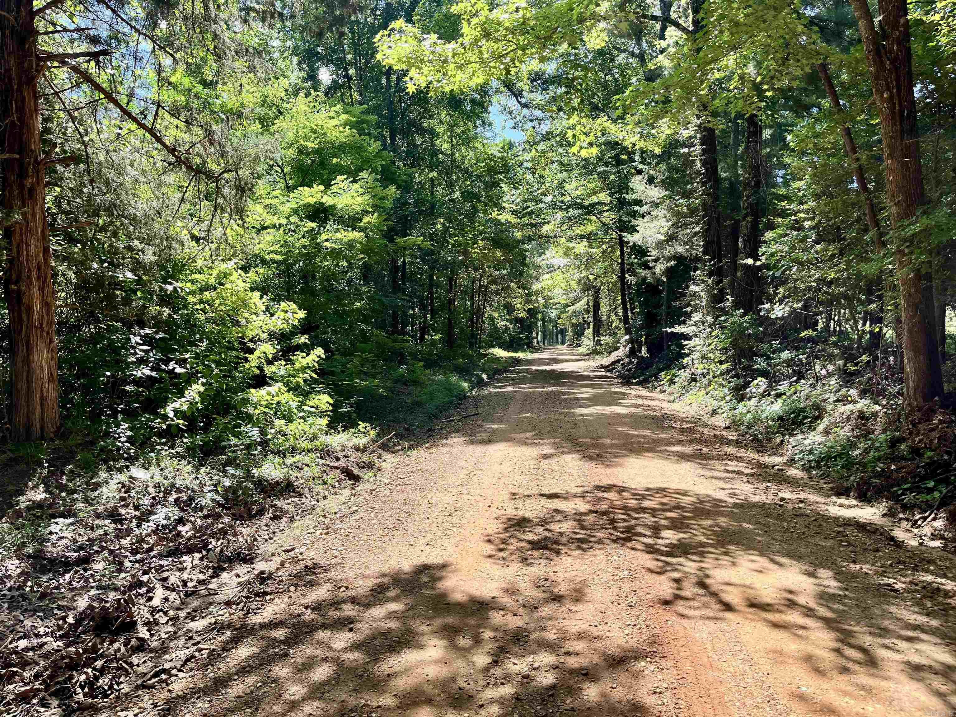 130 Dallas 216  Sparkman, AR