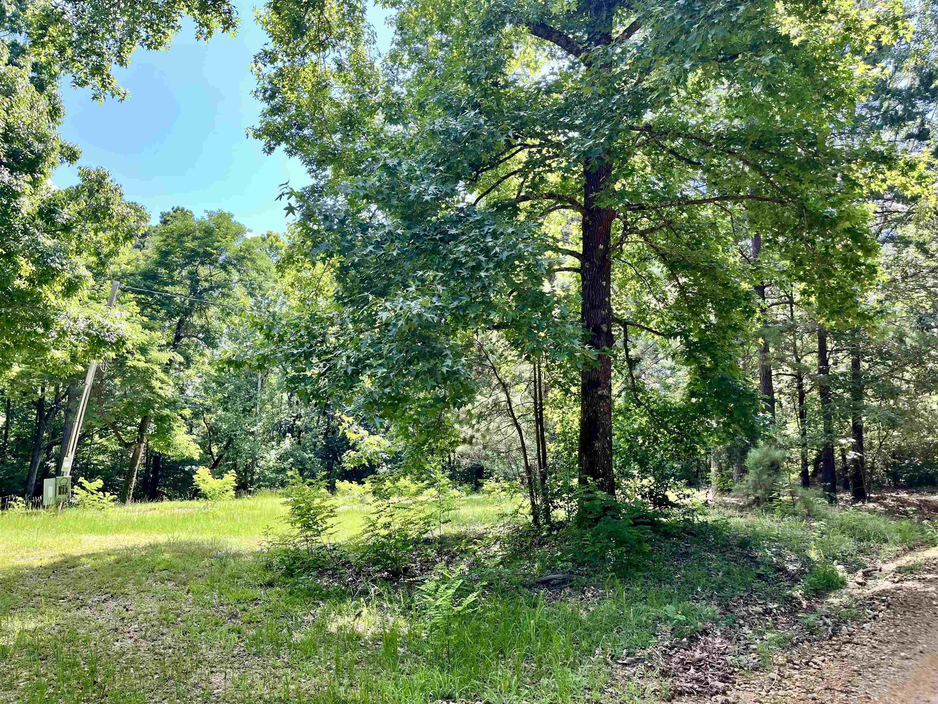 130 Dallas 216  Sparkman, AR