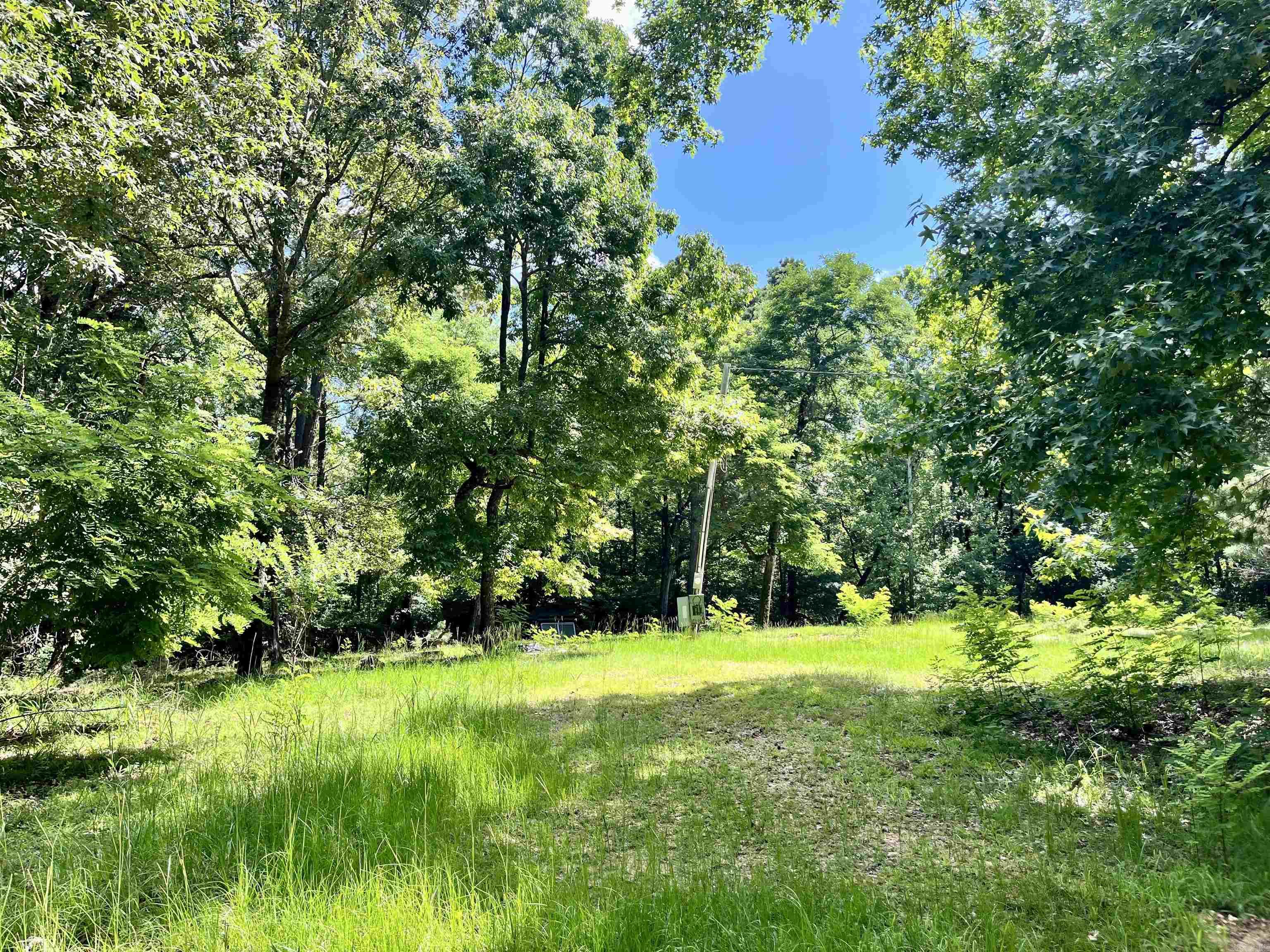 130 Dallas 216  Sparkman, AR